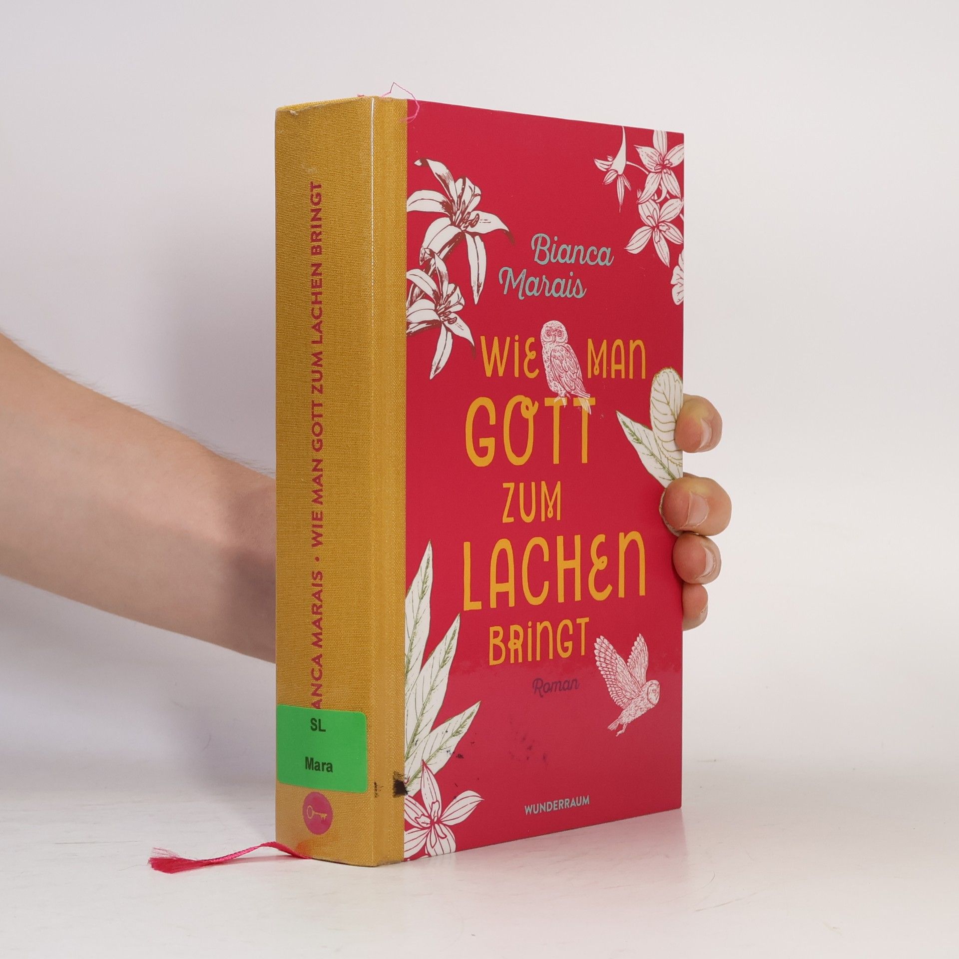 Bianca Marais Wie man Gott zum Lachen bringt