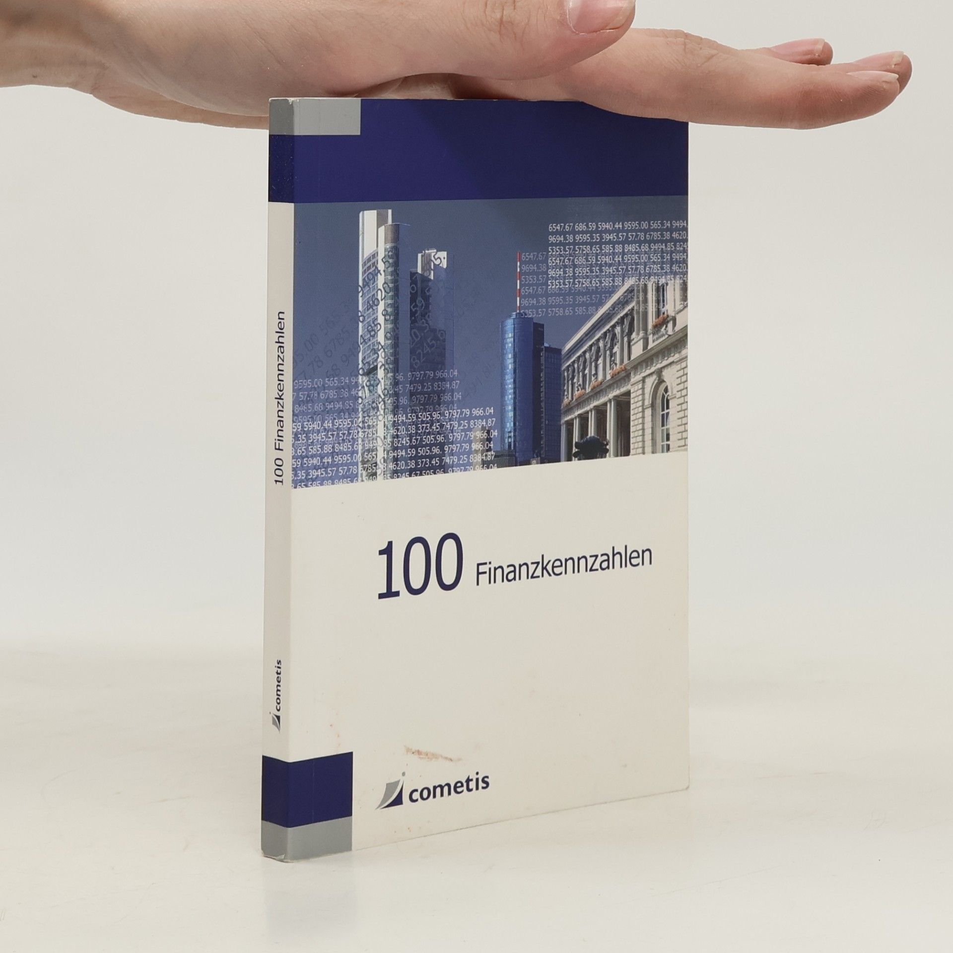 Autorenkollektiv 100 Finanzkennzahlen