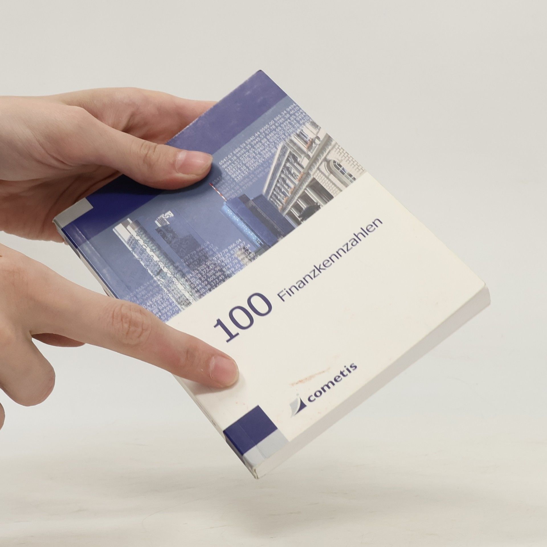 Autorenkollektiv 100 Finanzkennzahlen