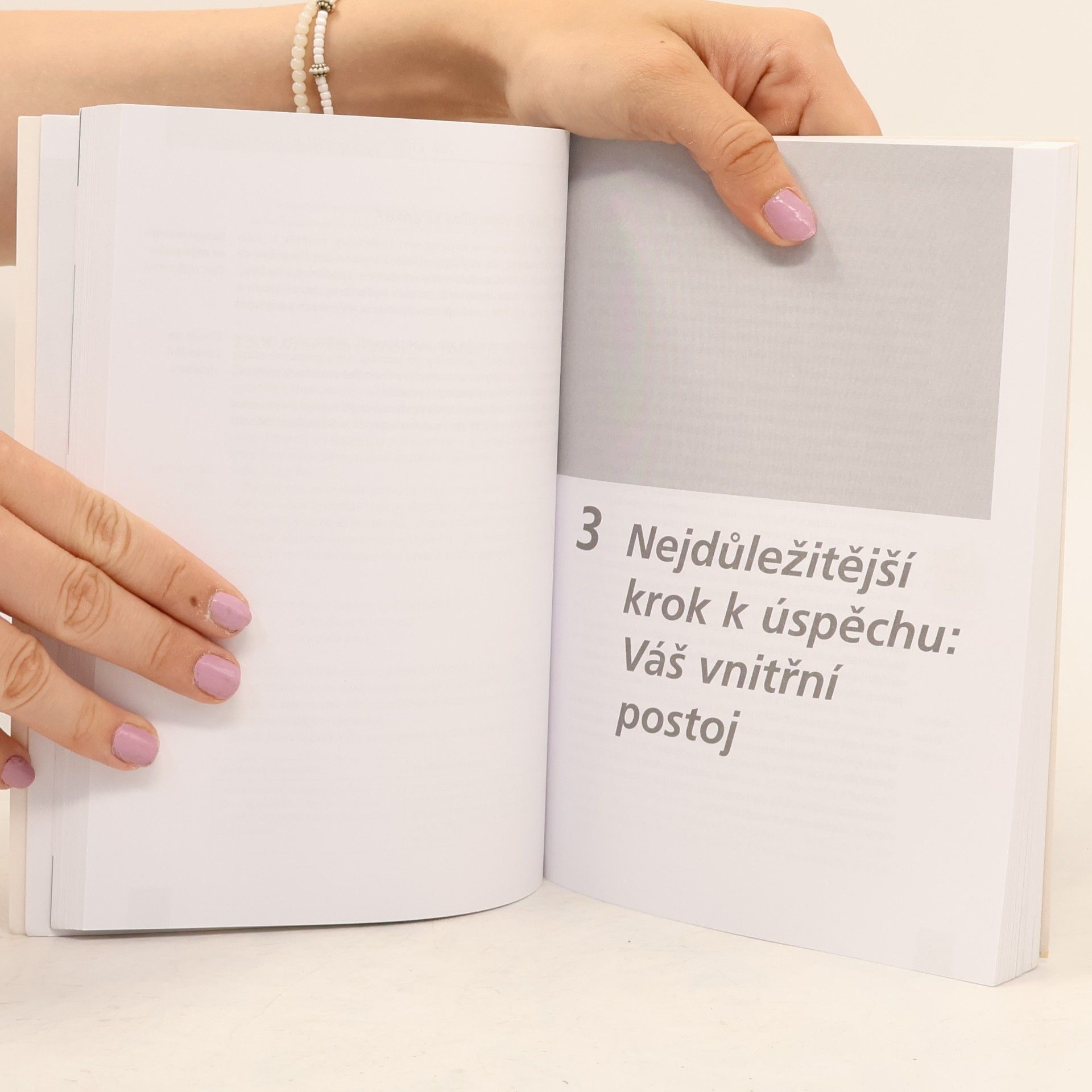 Christine Scharlau Techniky vedení rozhovoru : zdokonalte své komunikační dovednosti