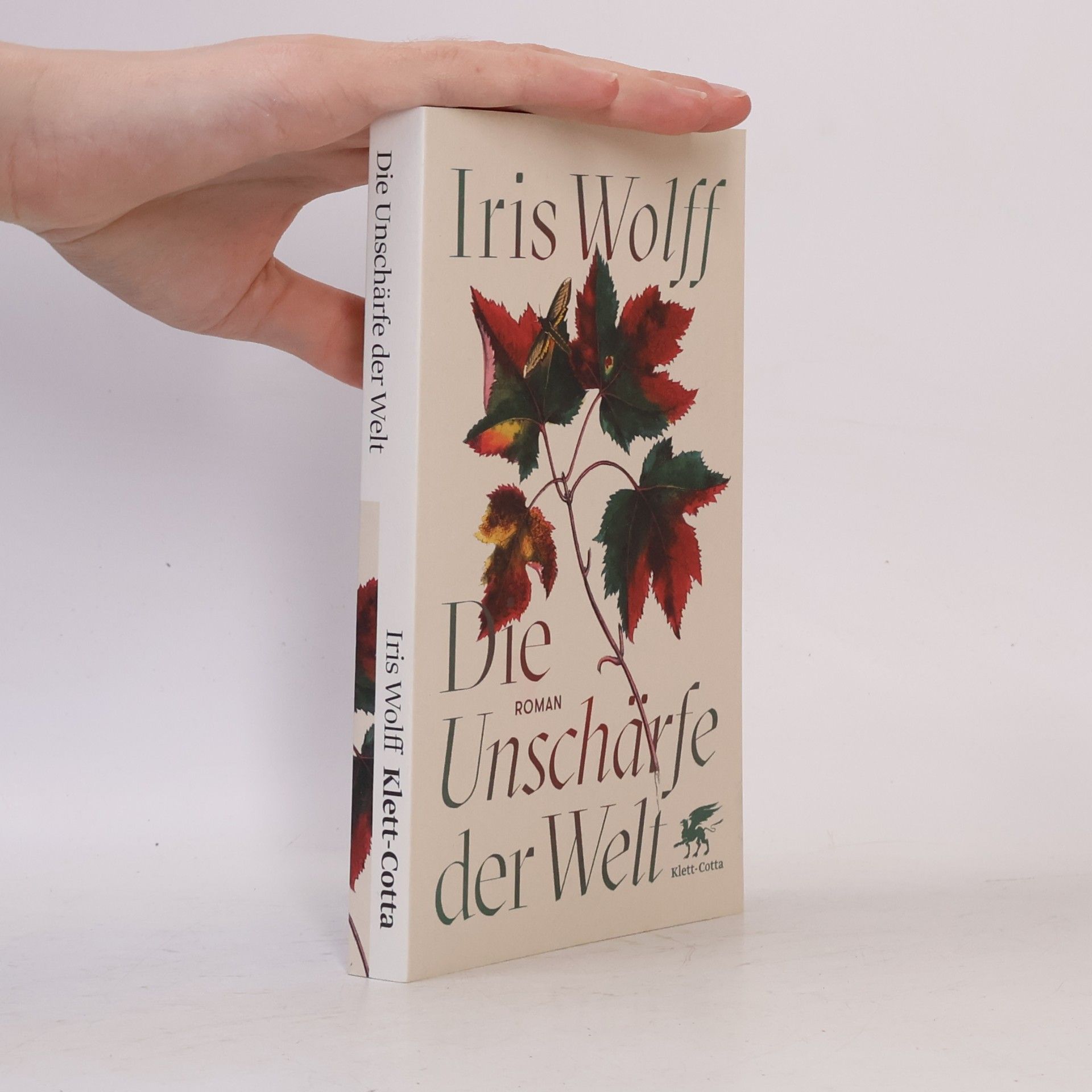 Iris Wolff Die Unschärfe der Welt