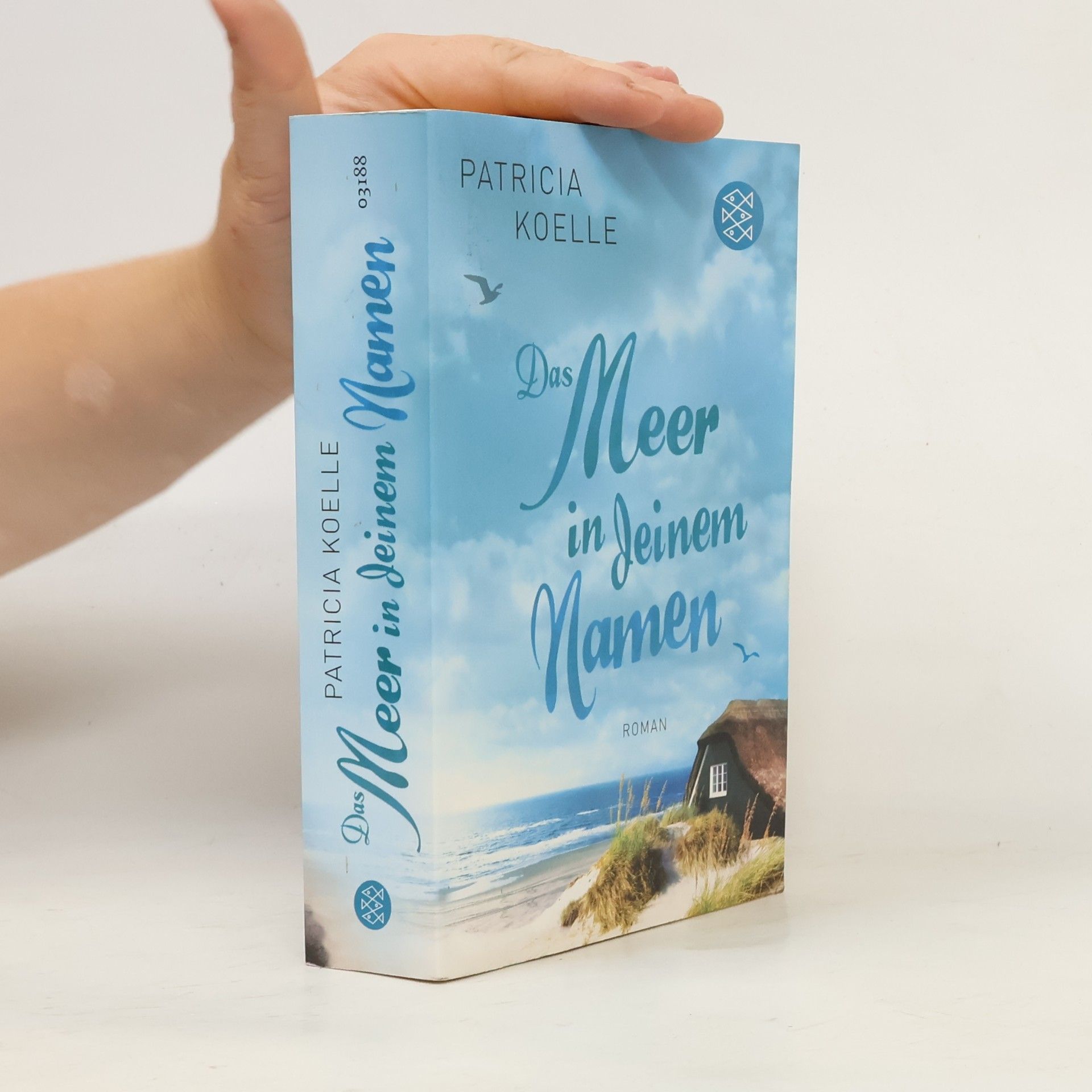 Patricia Koelle Das Meer in deinem Namen