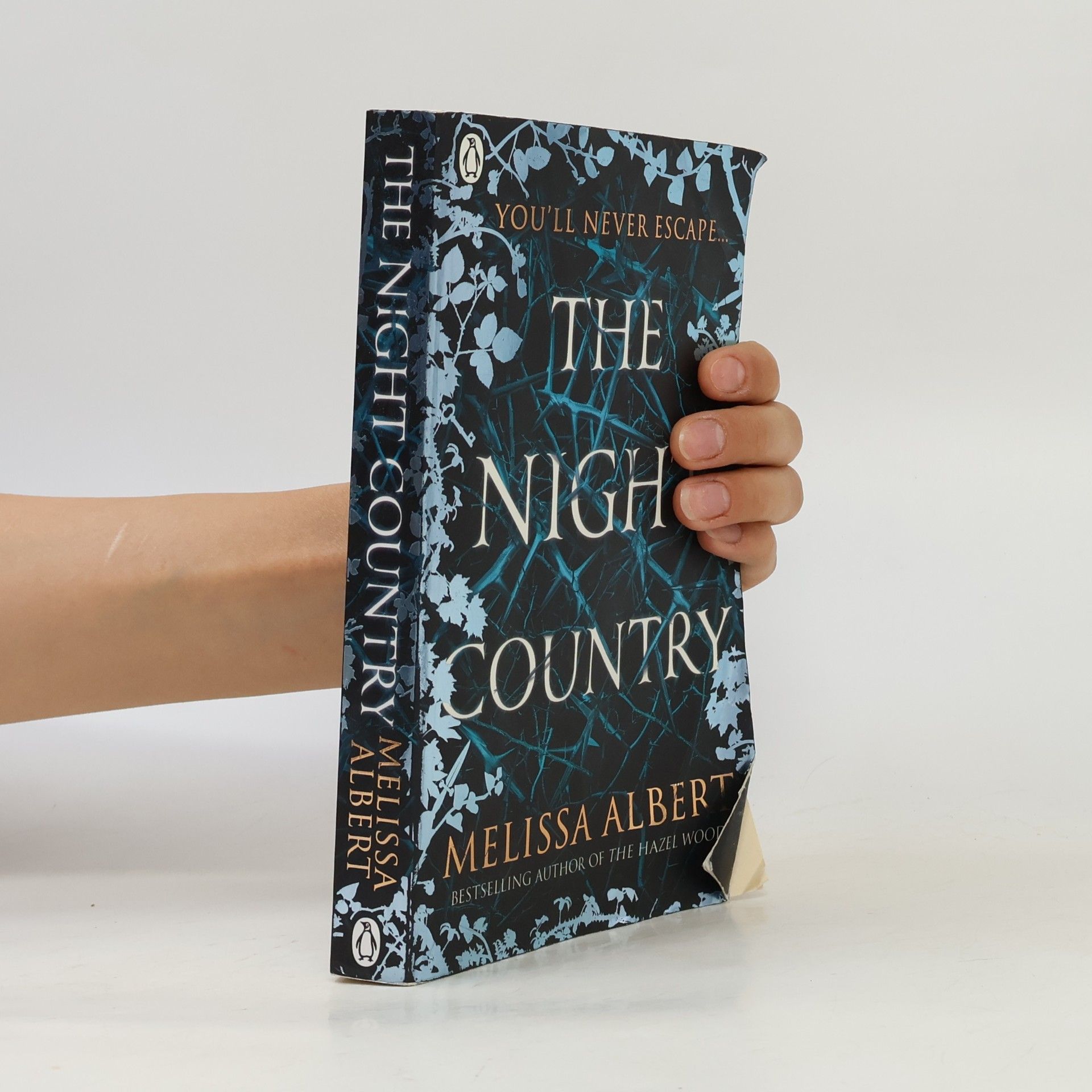 Melissa Albert The Night Country