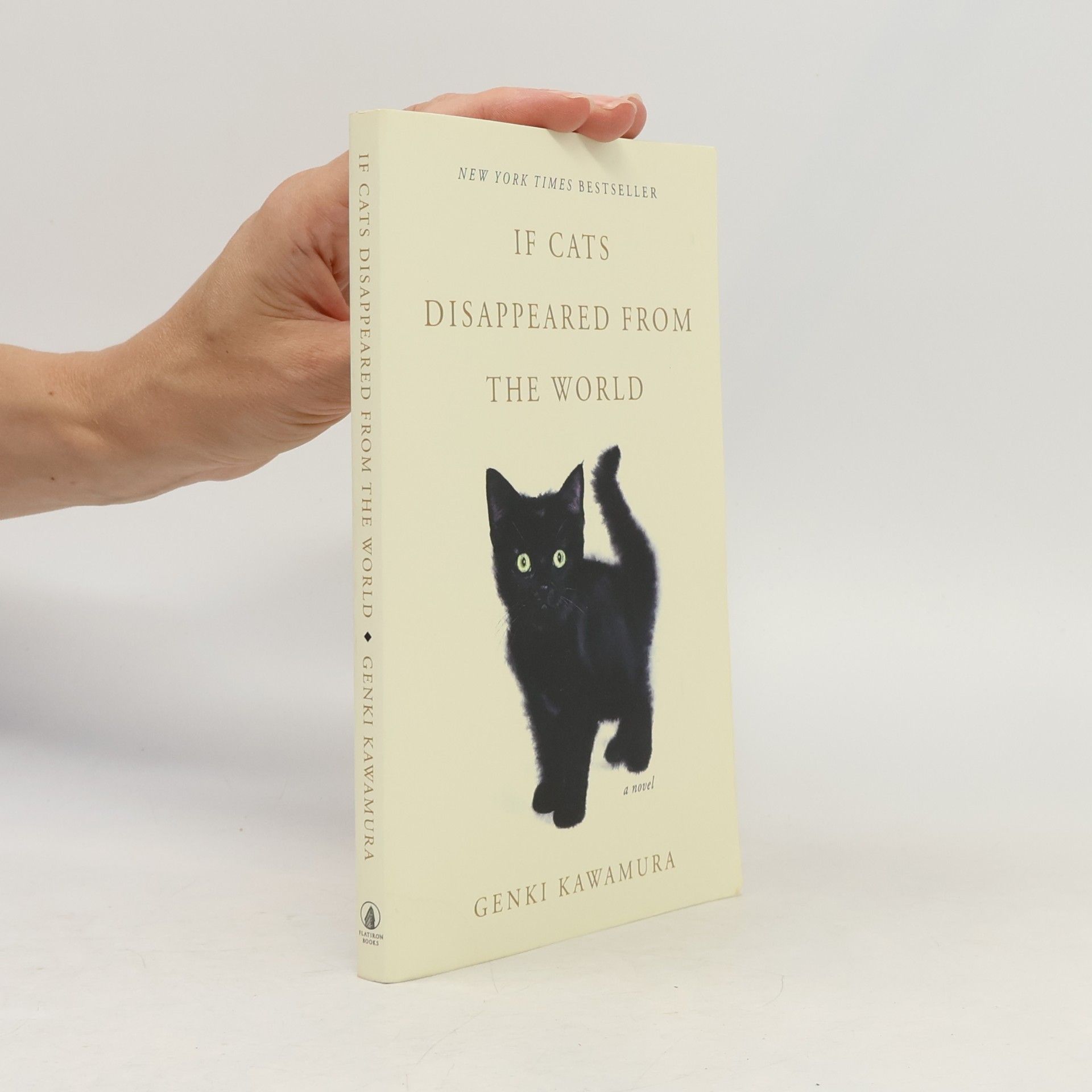 If Cats Disappeared From The World