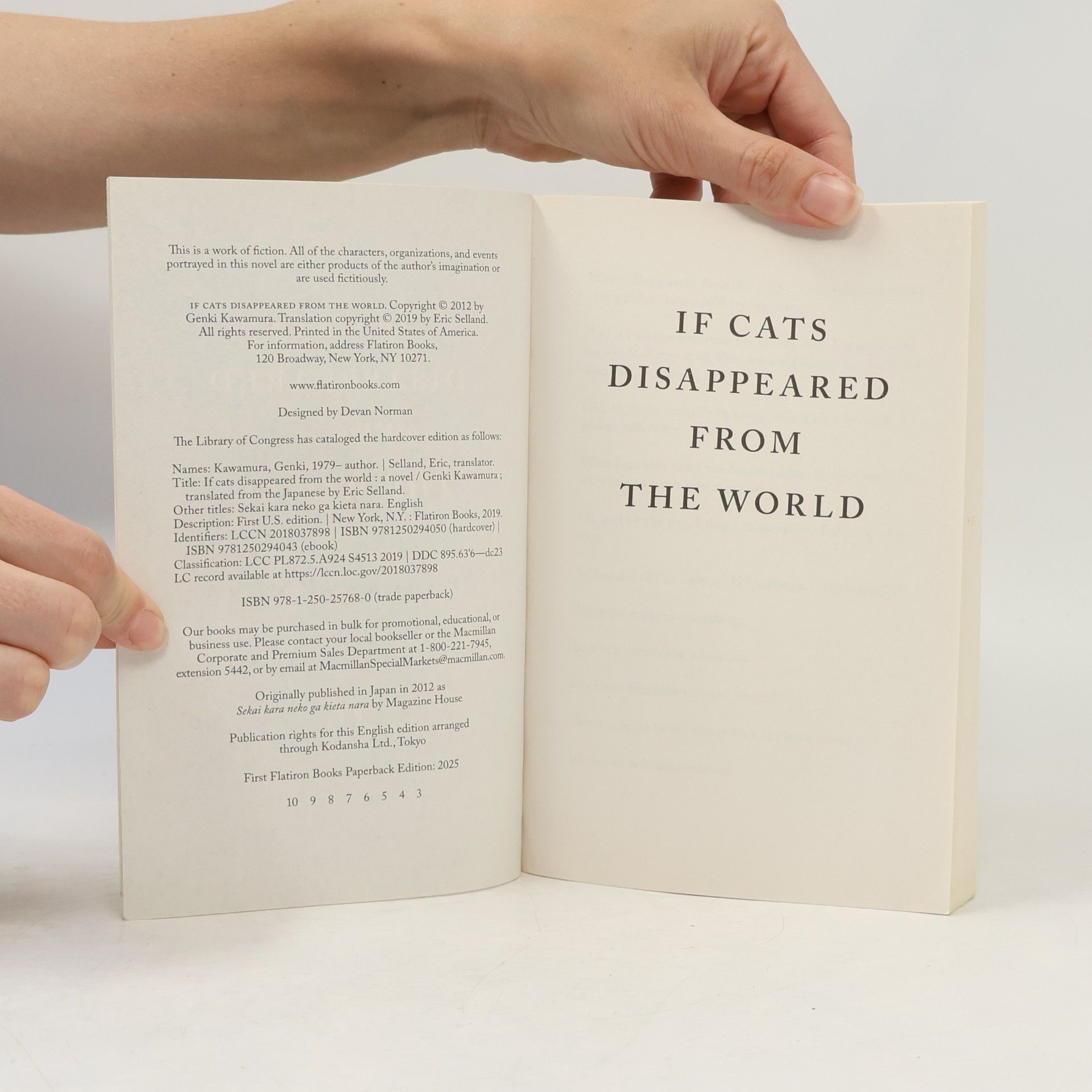 Genki Kawamura If Cats Disappeared From The World