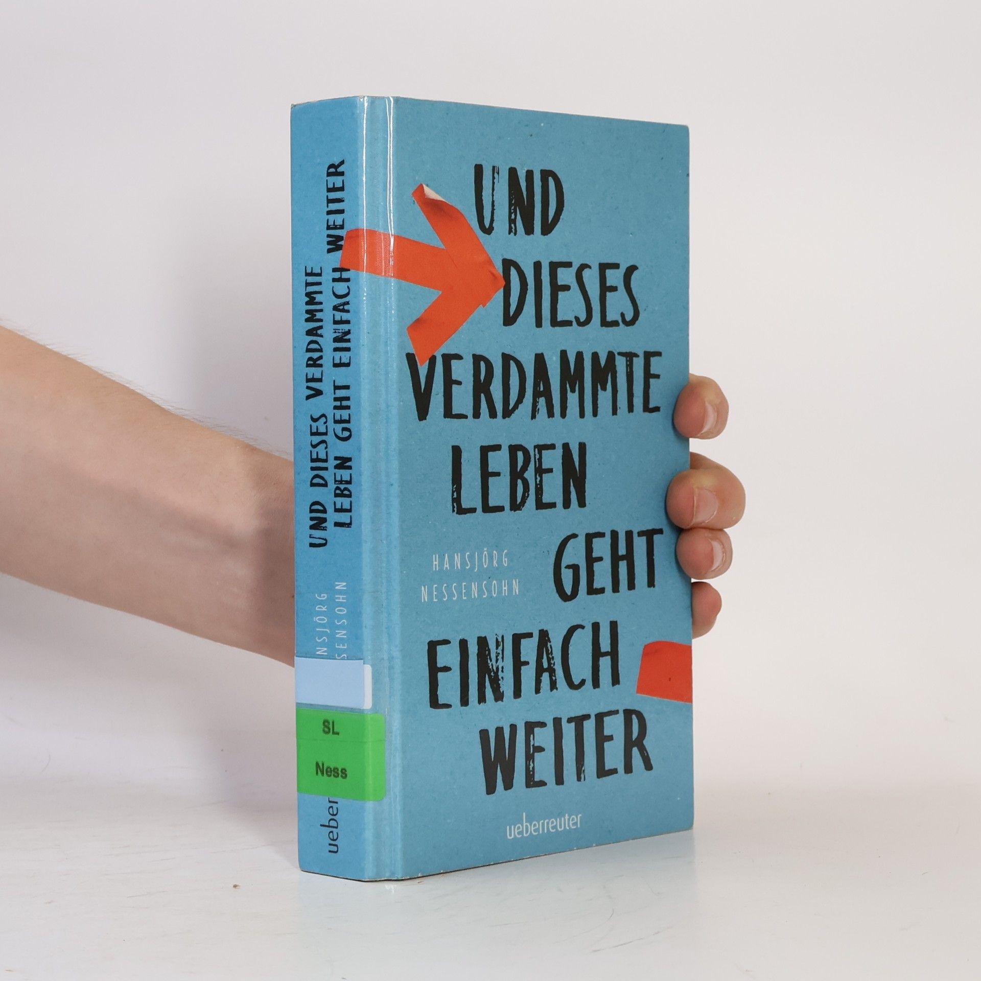 Hansjörg Nessensohn Und dieses verdammte Leben geht einfach weiter