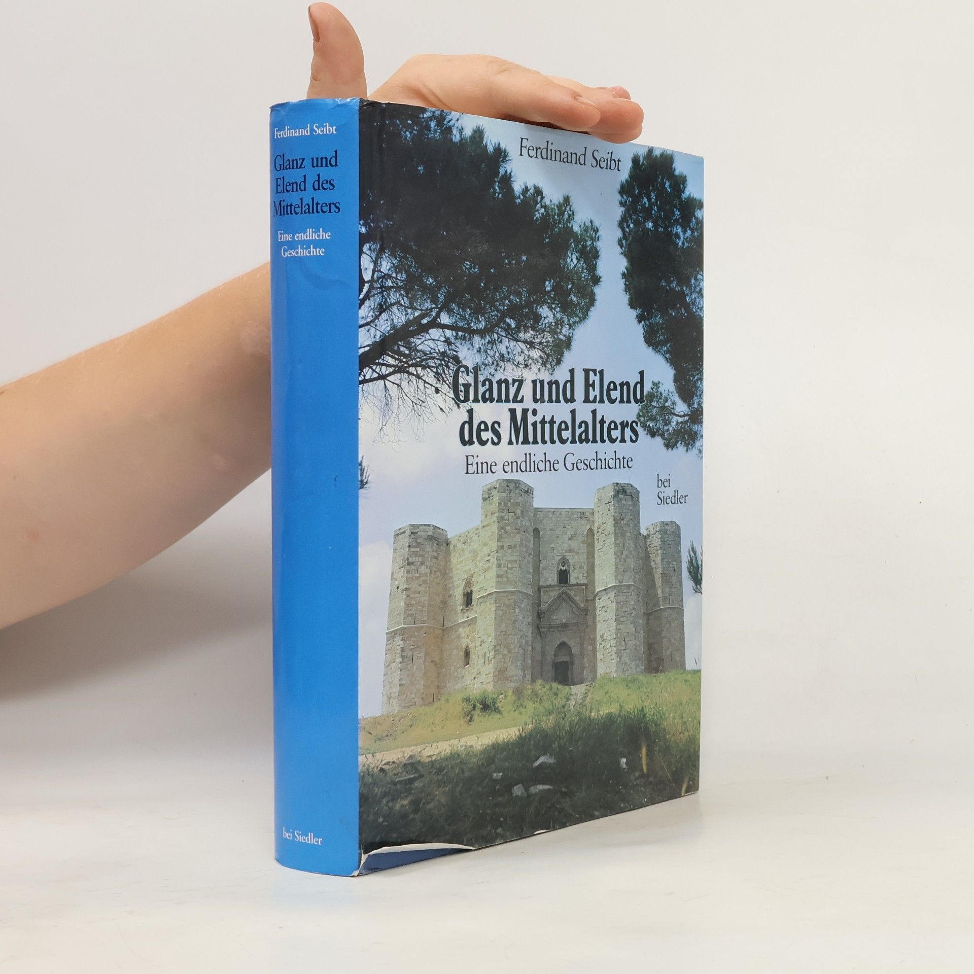 Ferdinand Seibt Glanz und Elend des Mittelalters. Eine endliche Geschichte