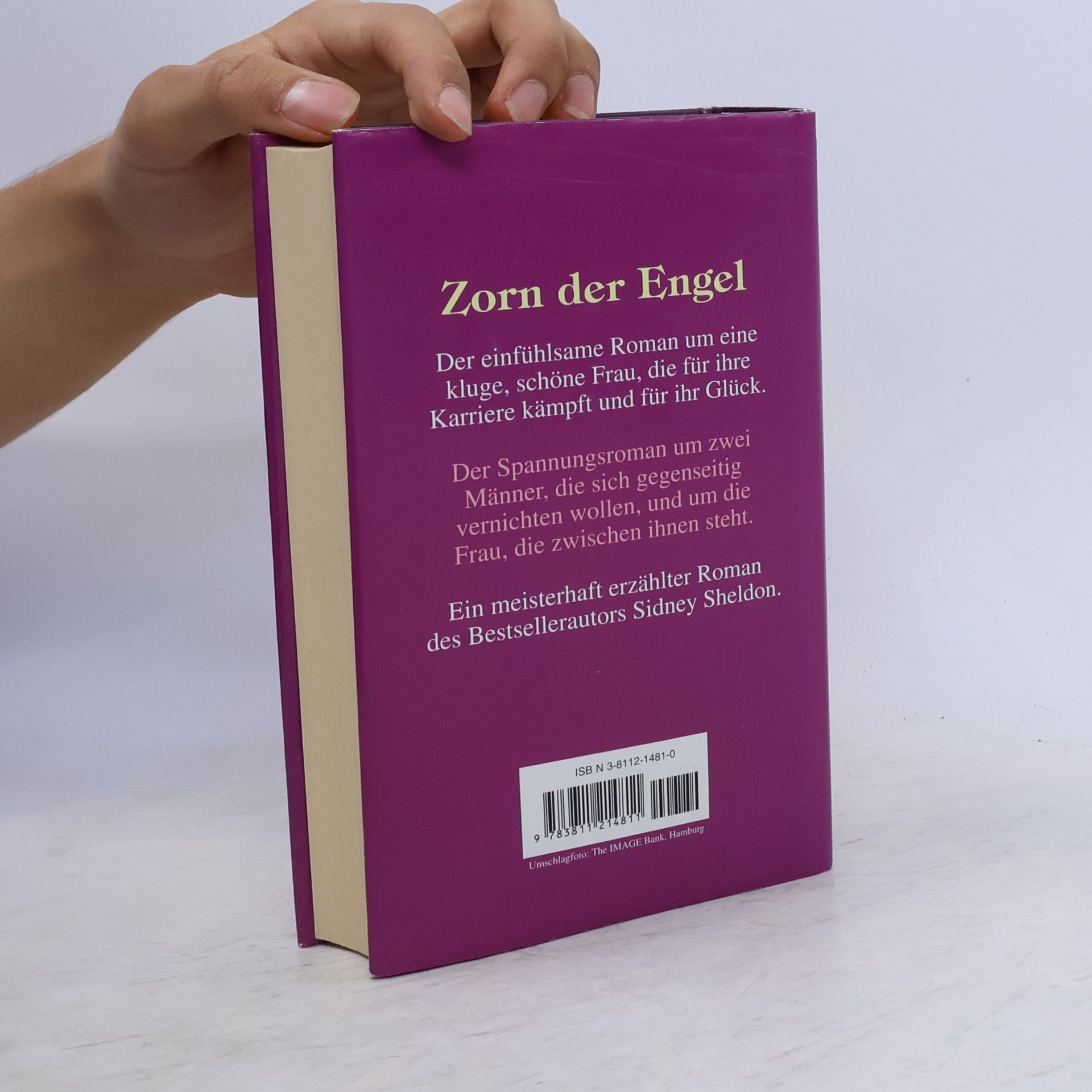Sidney Sheldon Zorn der Engel