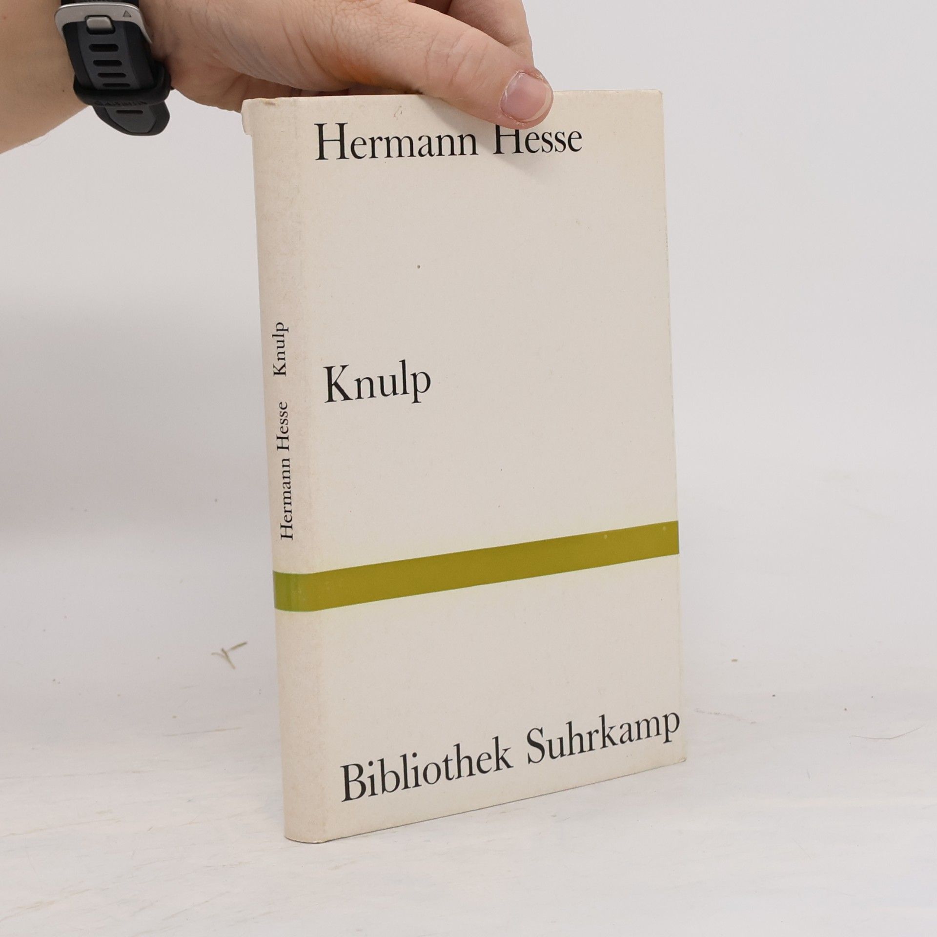 Hermann Hesse Knulp