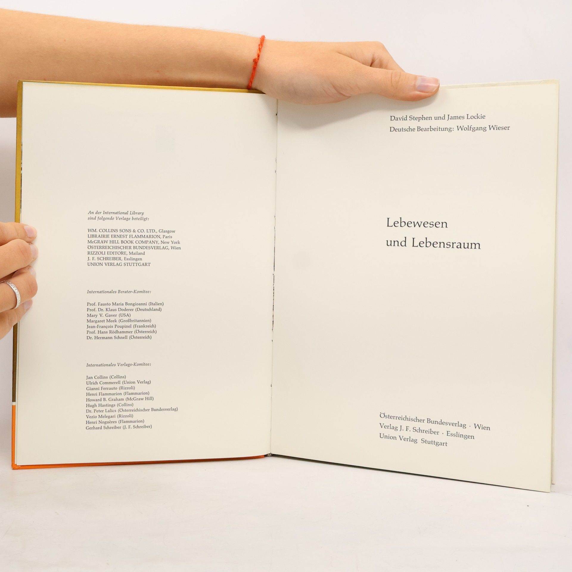 David Stephen Lebewesen und Lebensraum