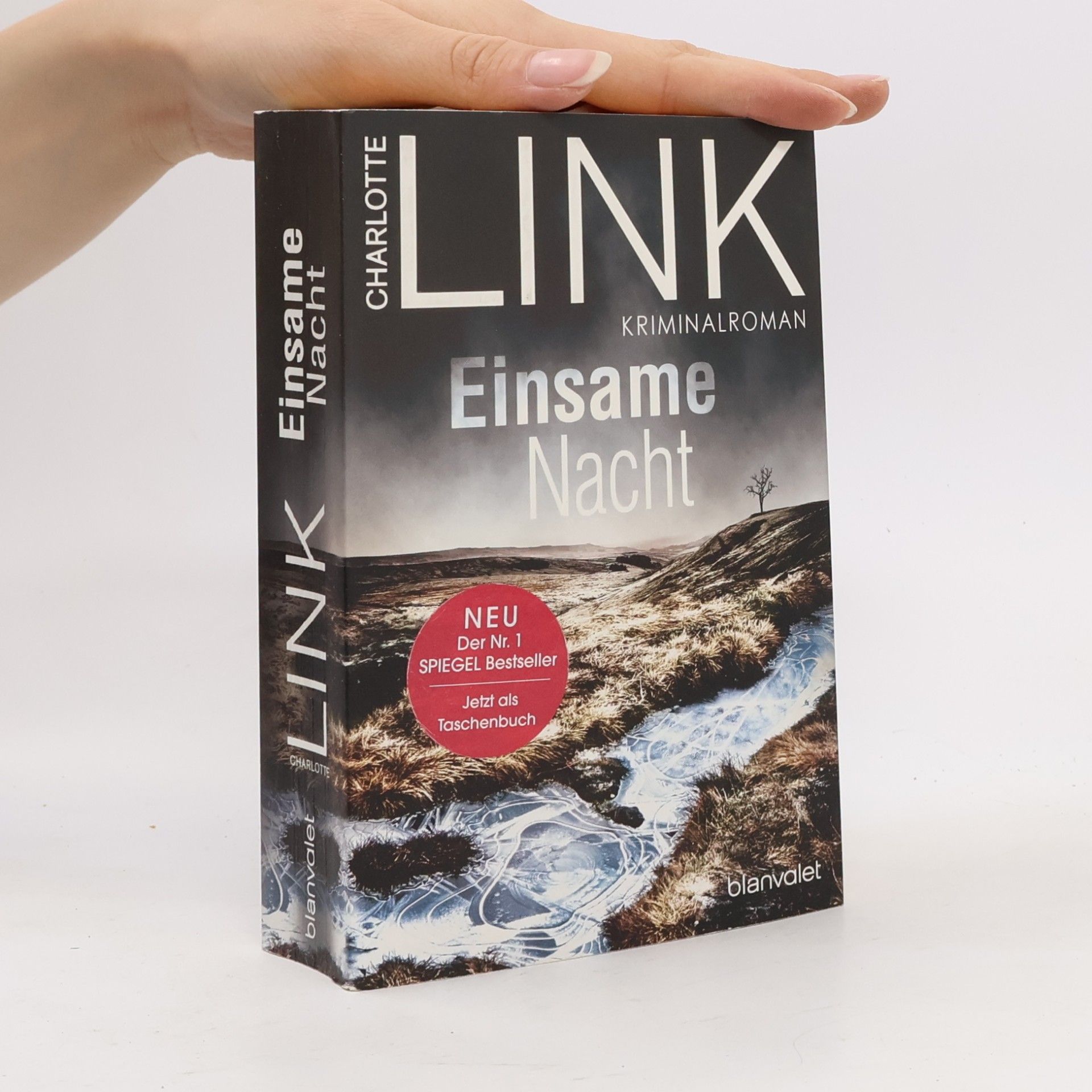 Charlotte Link Einsame Nacht