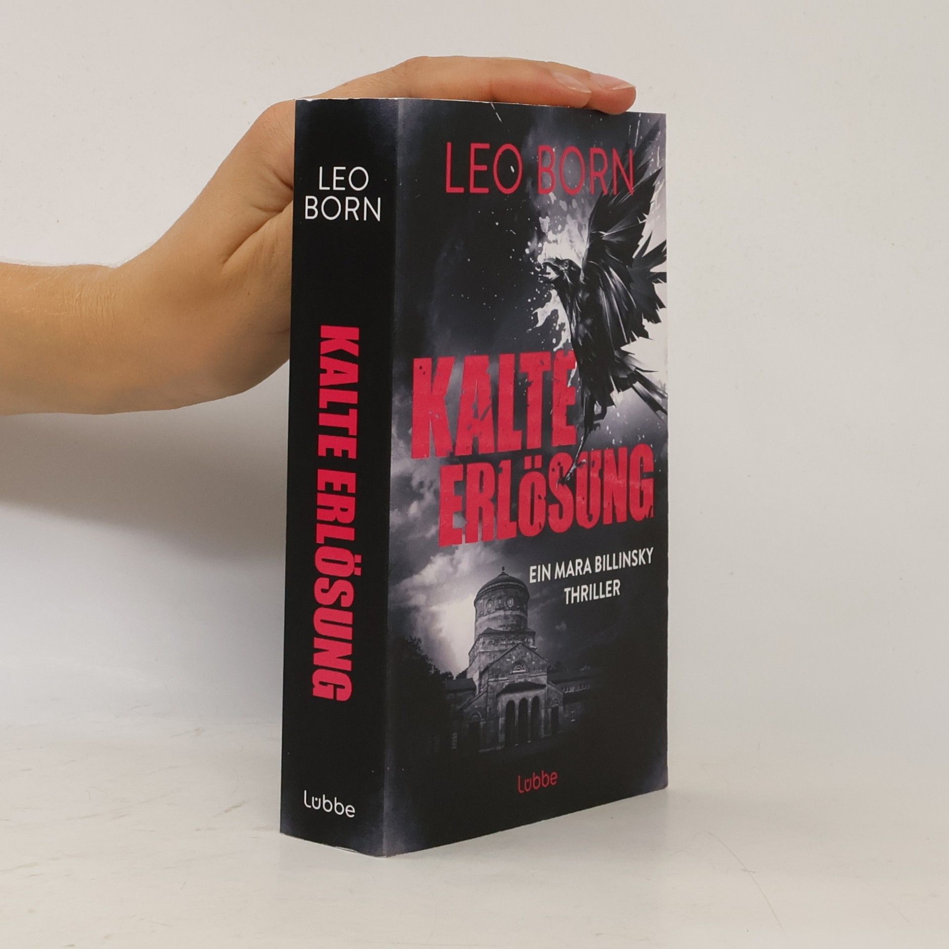 Leo Born Kalte Erlösung. Ein Mara-Billinsky-Thriller