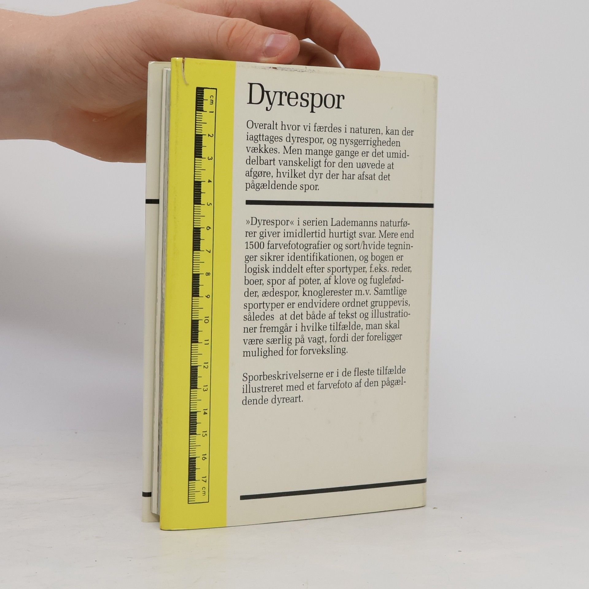 Jesper Langer Dyrespor