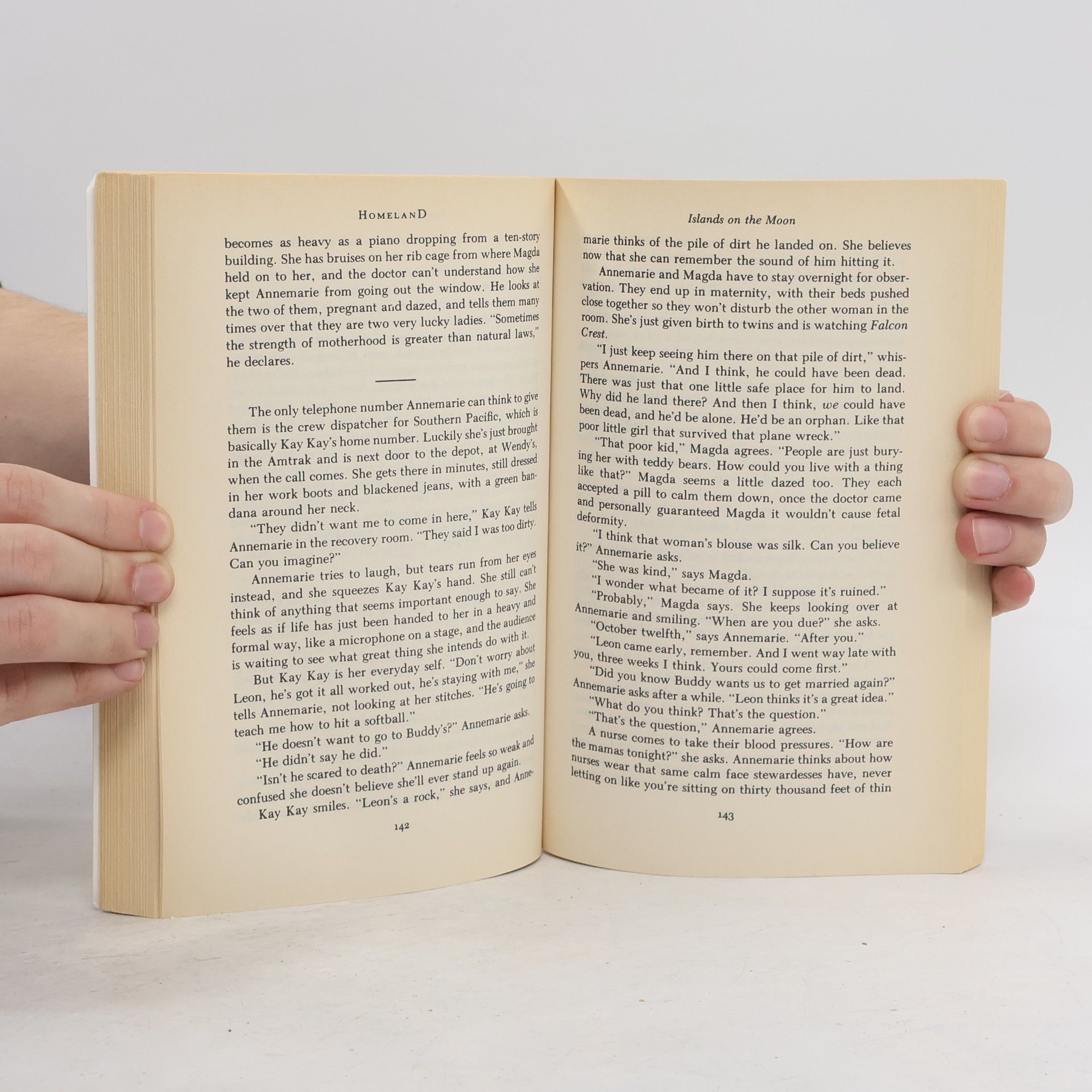 Barbara Kingslover Homeland and Other Stories