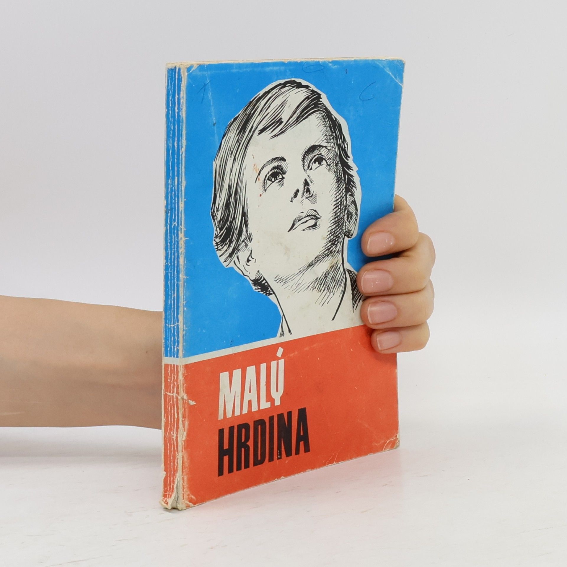 Bohuslav Mladý hrdina : životopis sv. Dominika Sávia