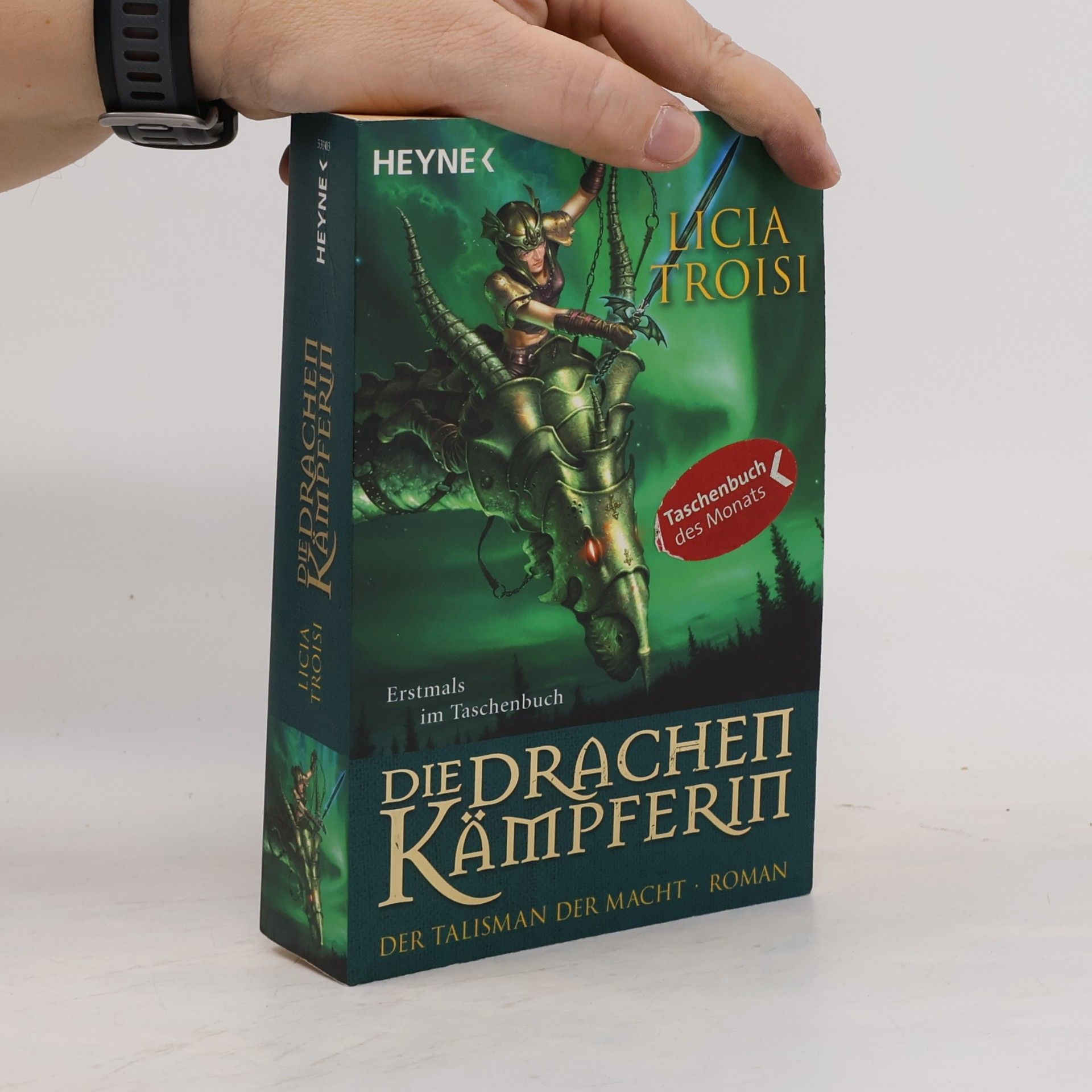 Licia Troisi Die Drachenkämpferin. Der Talisman der Macht