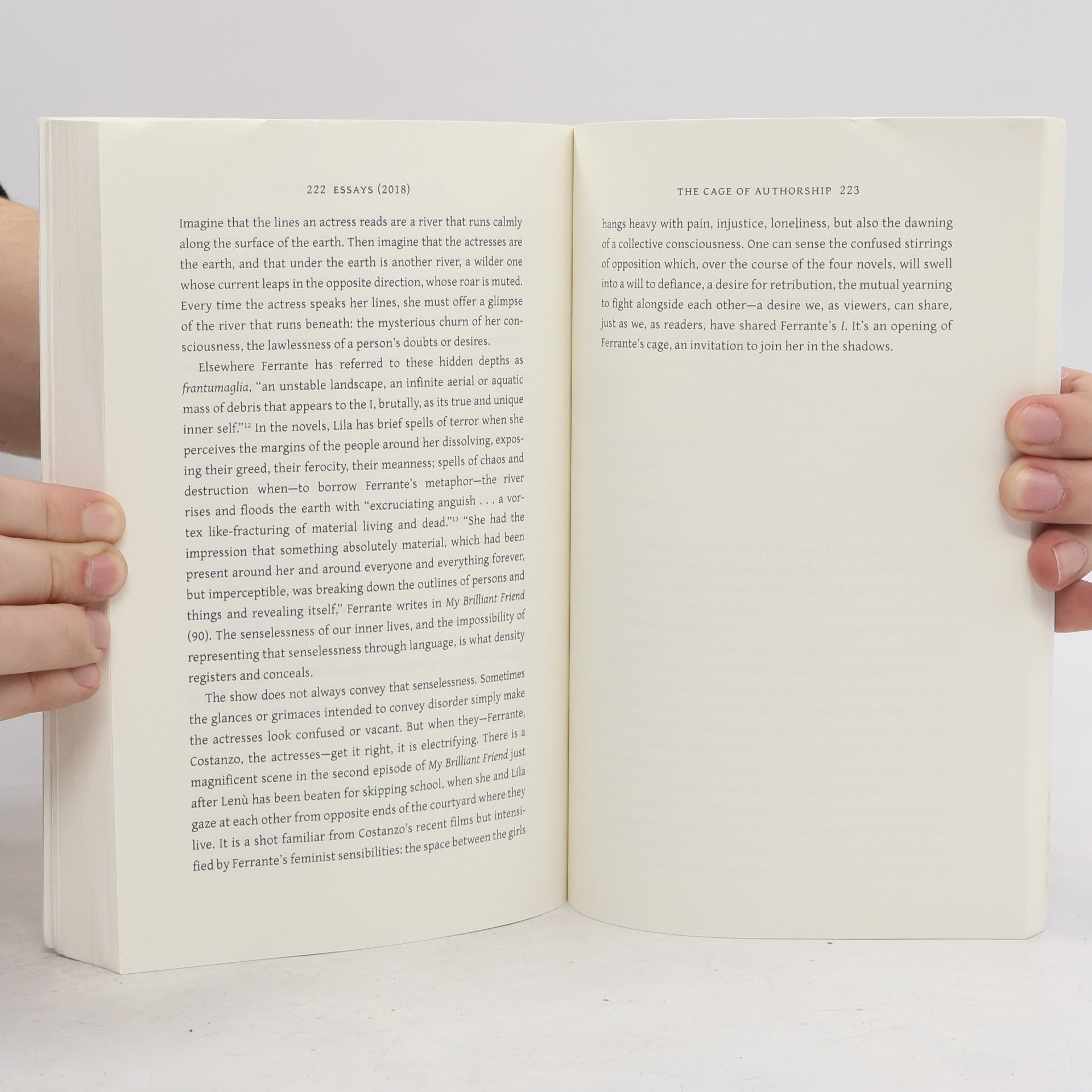 Sarah Chihaya The Ferrante Letters