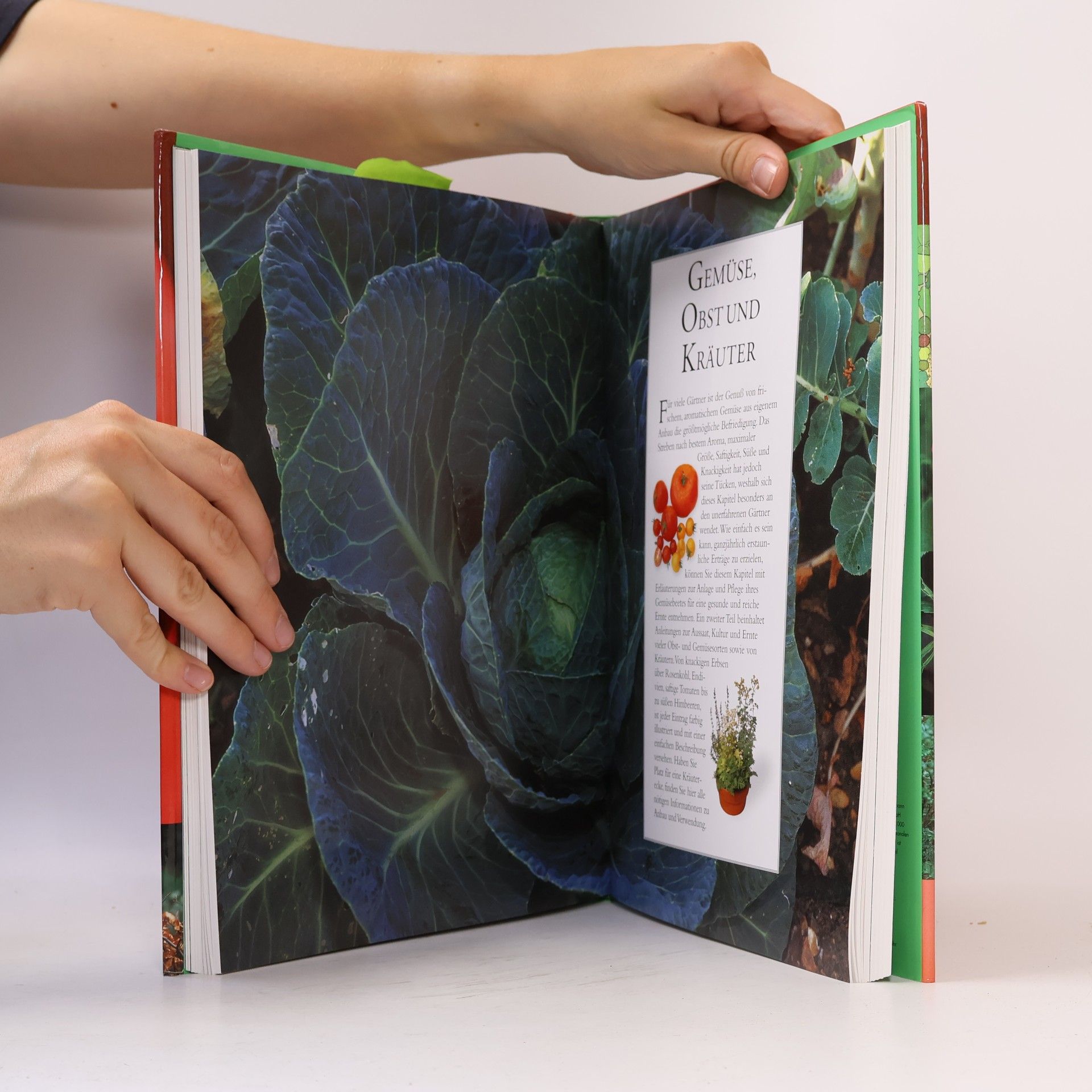 Anke Maldfeld Garten-Handbuch