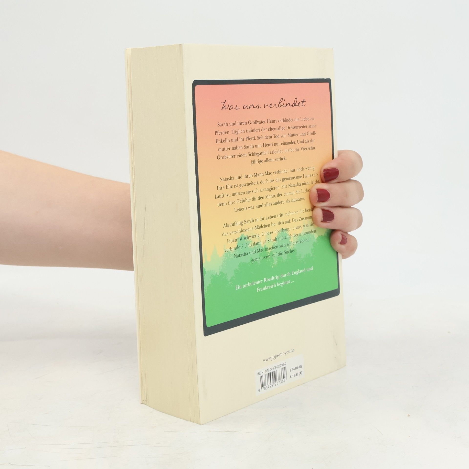 Jojo Moyes Im Schatten das Licht