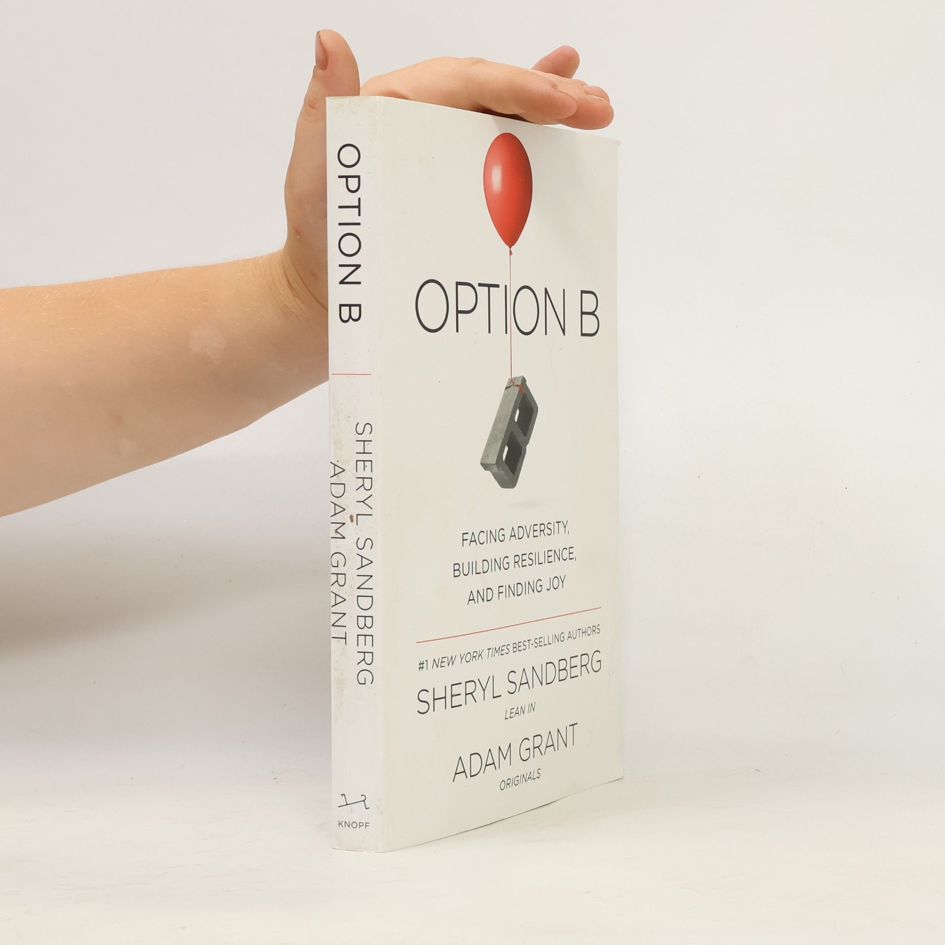 Sheryl Sandberg Option B