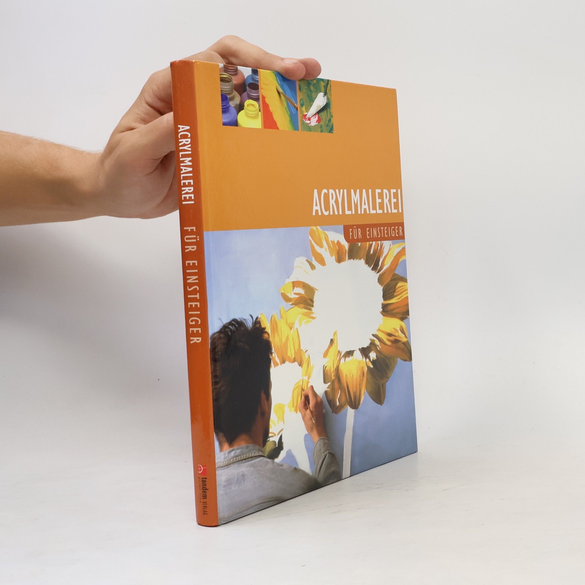 Autorenkollektiv Acrylmalerei für Einsteiger
