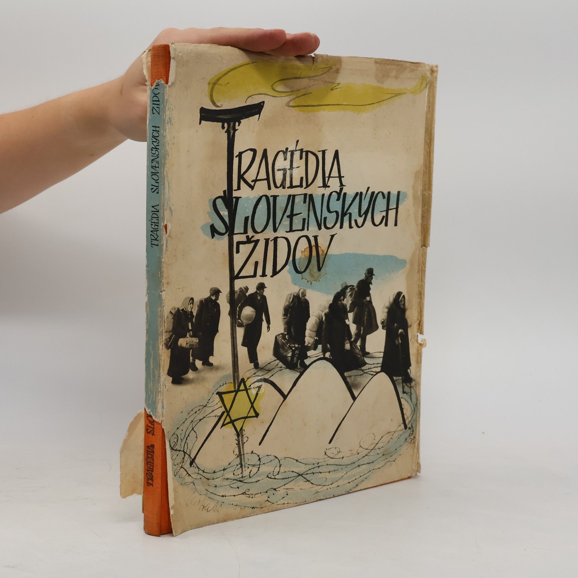 Collectif d'auteurs Tragédia slovenských Židov