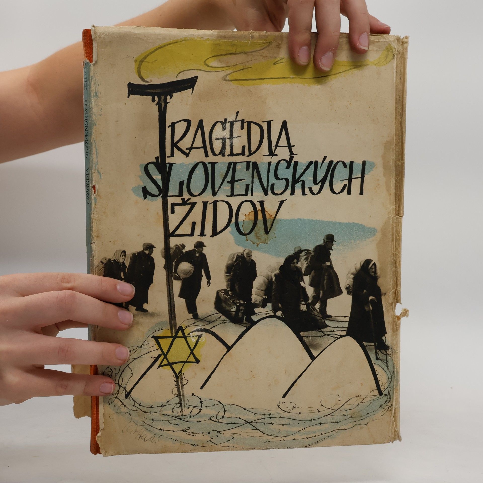 Collectif d'auteurs Tragédia slovenských Židov