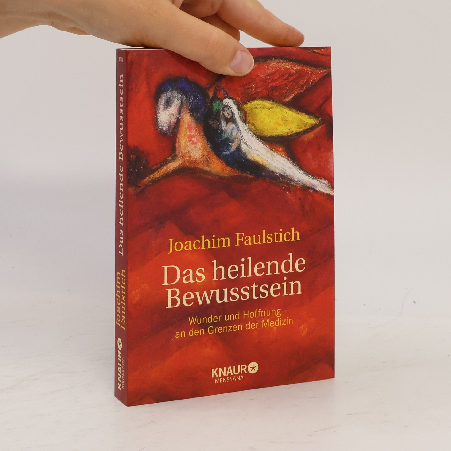 Joachim Faulstich Das heilende Bewusstsein