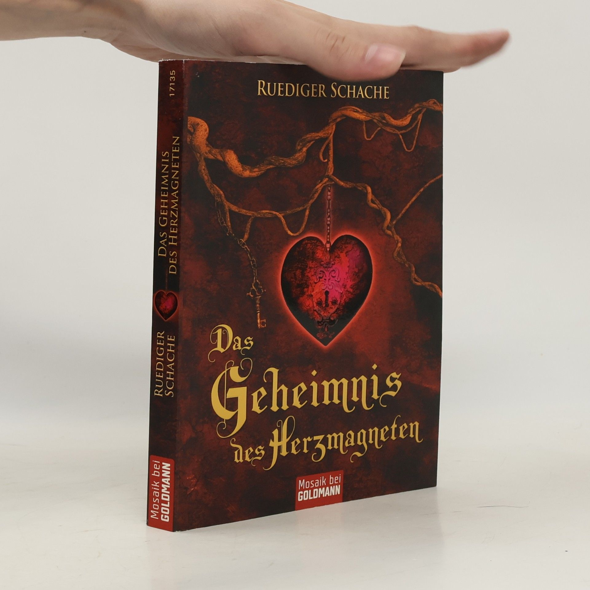 Ruediger Schache Das Geheimnis des Herzmagneten