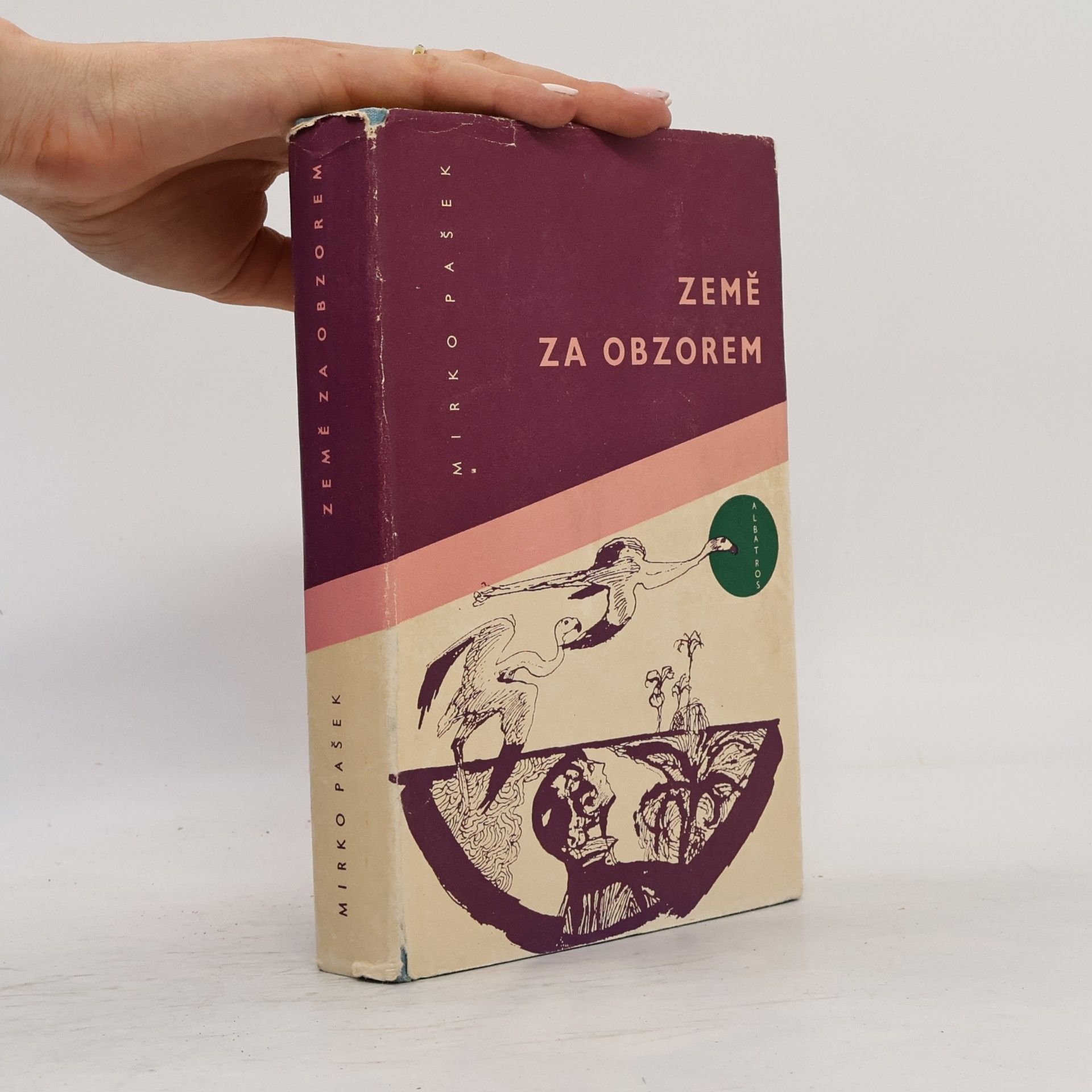 Mirko Pašek Země za obzorem