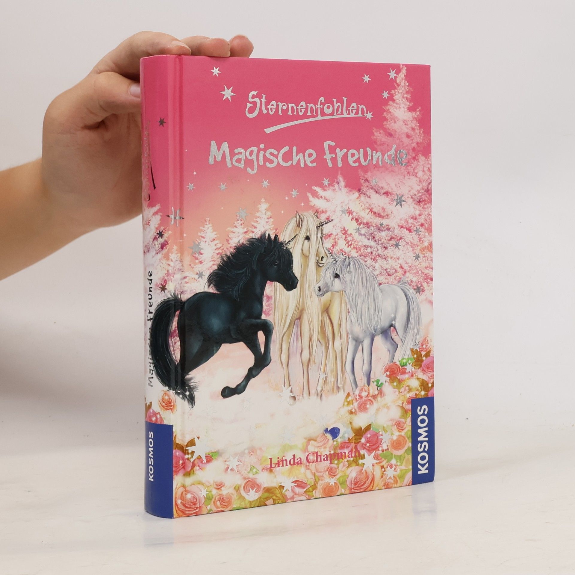 Linda Champan Sternenfohlen: Magische Freunde