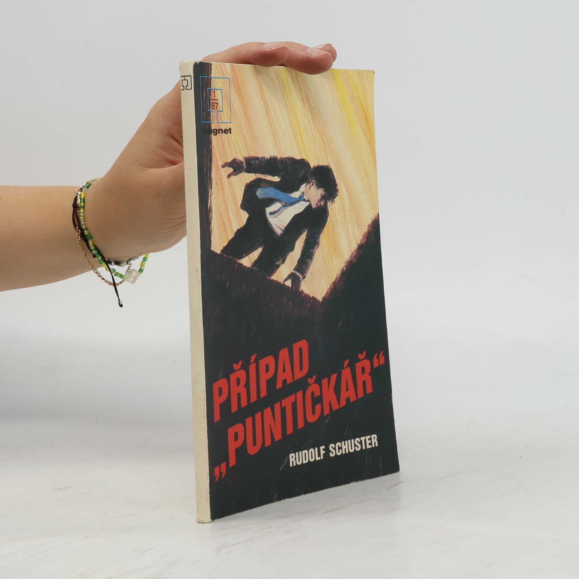 Případ „Puntičkář“