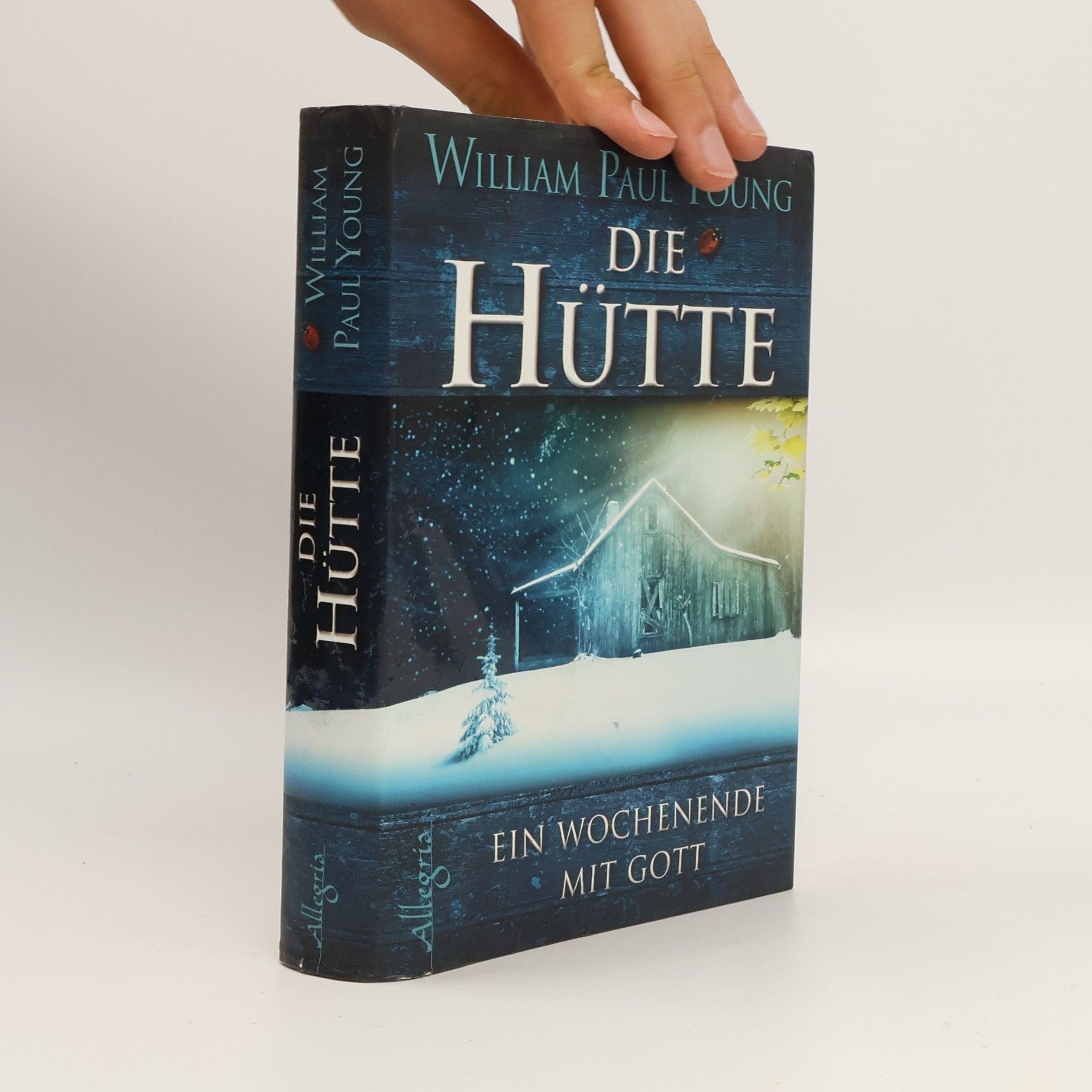 William P. Young Die Hütte