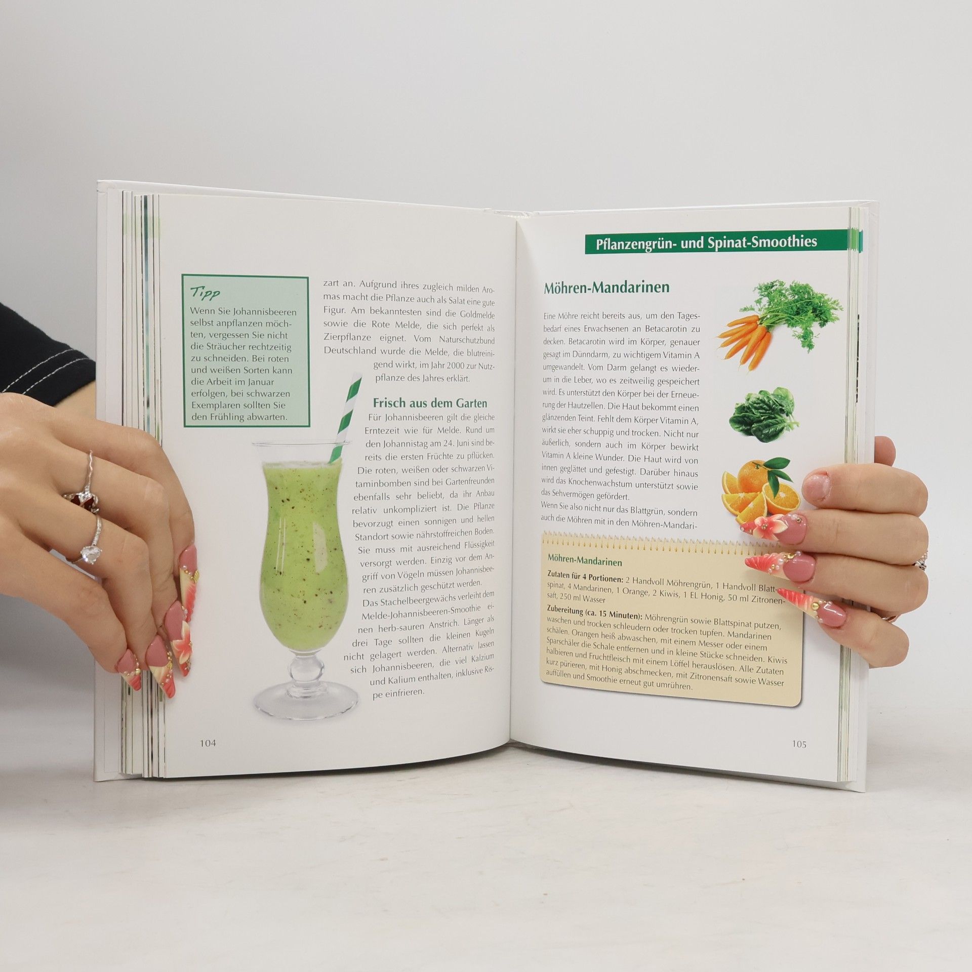 kolektiv Die leckersten Grünen Smoothies
