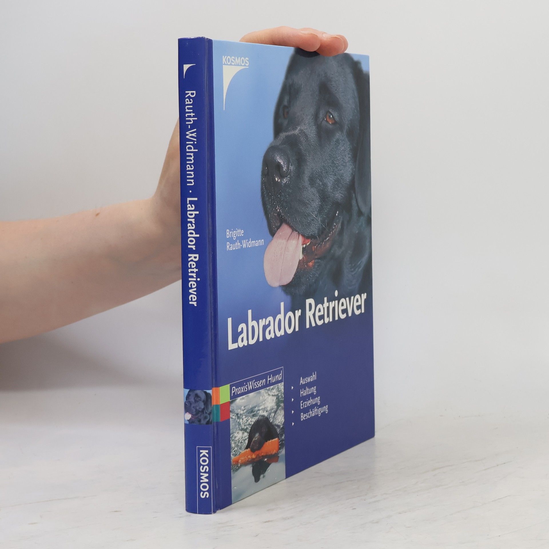 Labrador