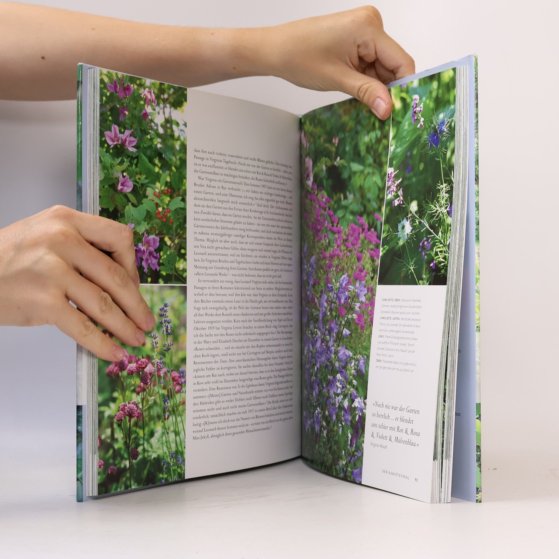 Caroline Zoob Der Garten der Virginia Woolf