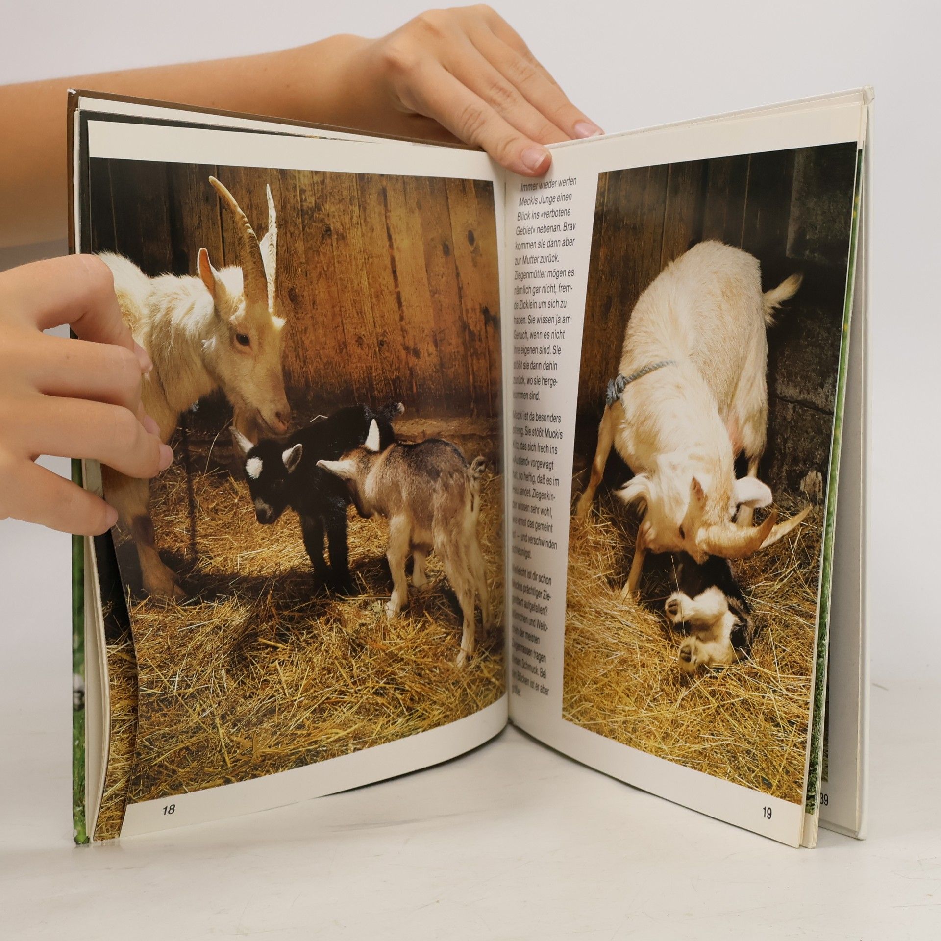 Elvig Hansen Das Ziegenbuch