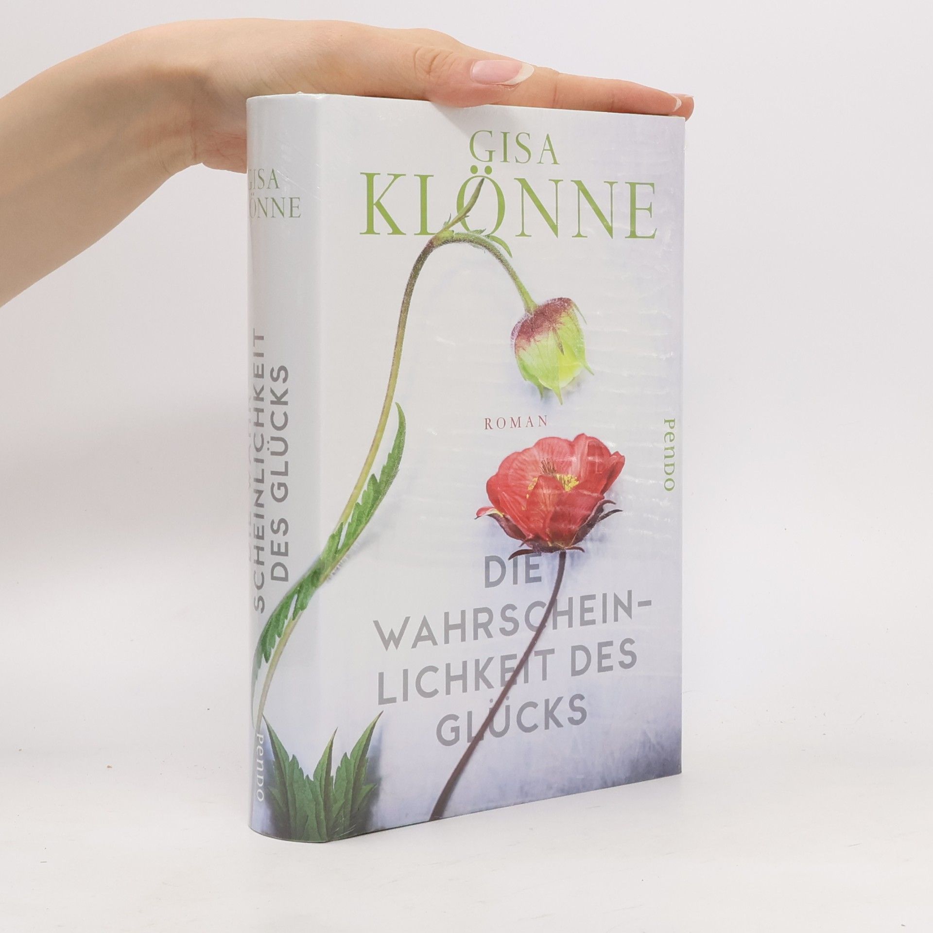 Gisa Klönne Die Wahrscheinlichkeit des Glücks
