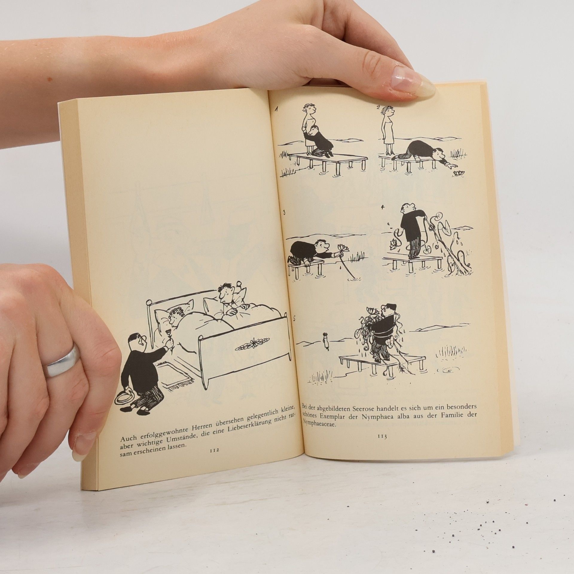 Loriot Loriots kleiner Ratgeber