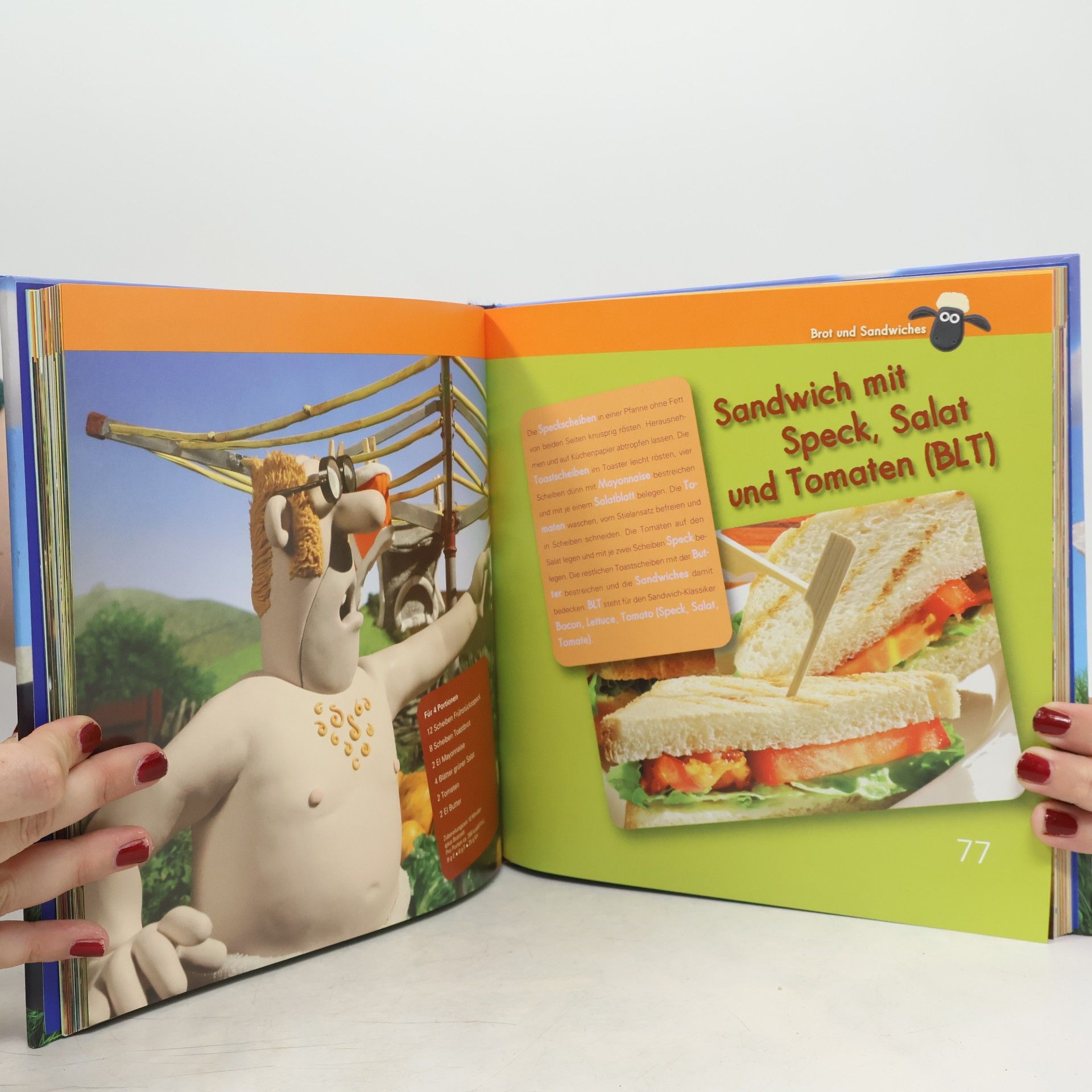 Autorenkollektiv Shaun-das-Schaf - mein Picknickbuch