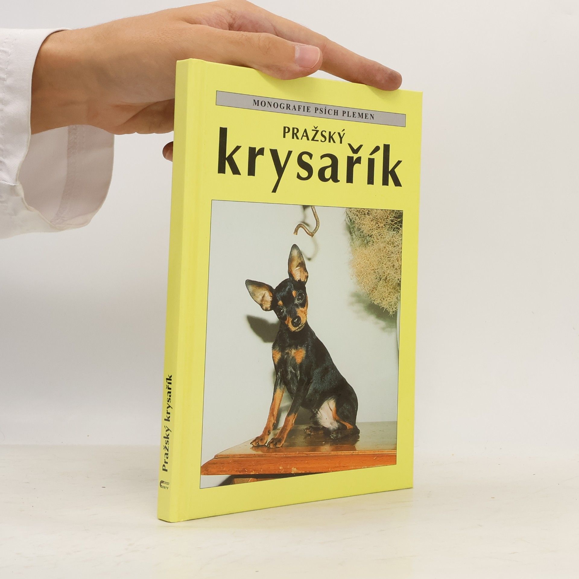 Cyrila Karpfová Pražský krysařík