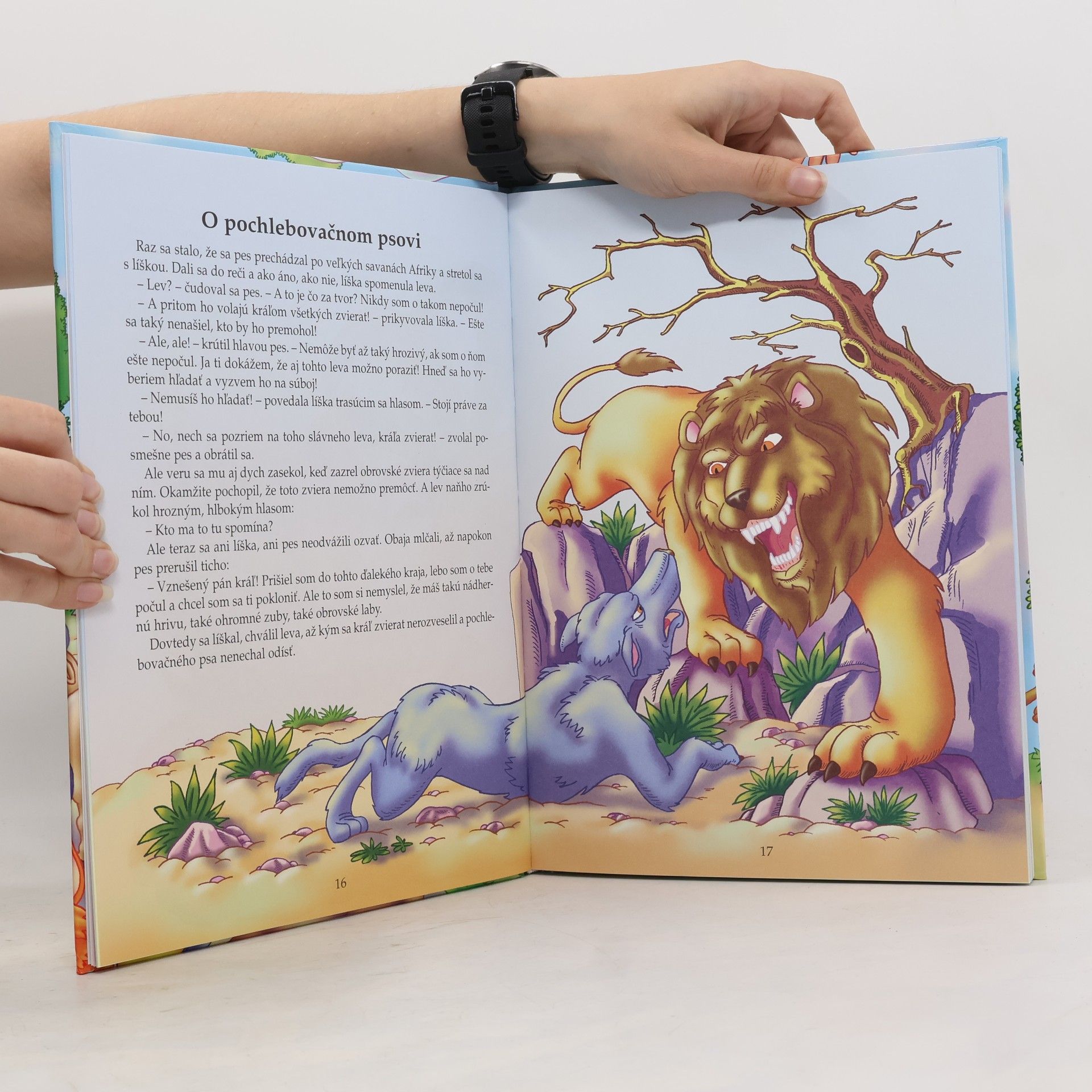 Autorenkollektiv Rozprávky z okrúhleho lesa