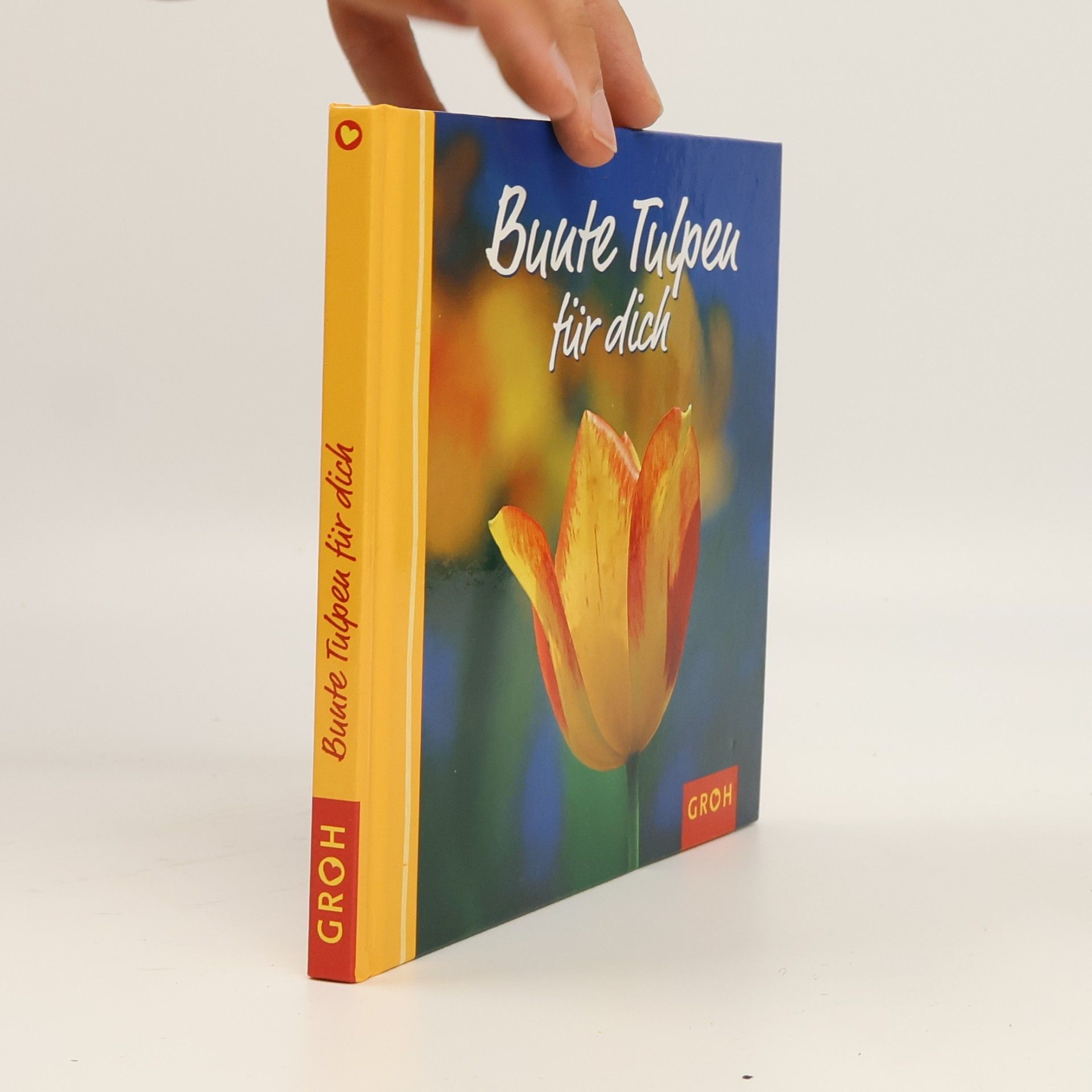 Anja Sommer Bunte Tulpen für dich