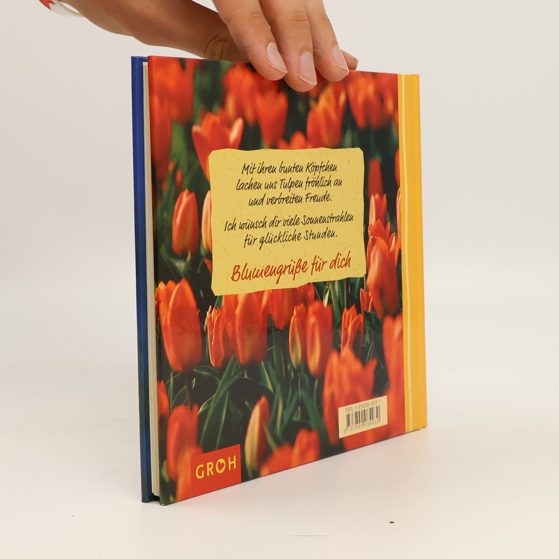Anja Sommer Bunte Tulpen für dich