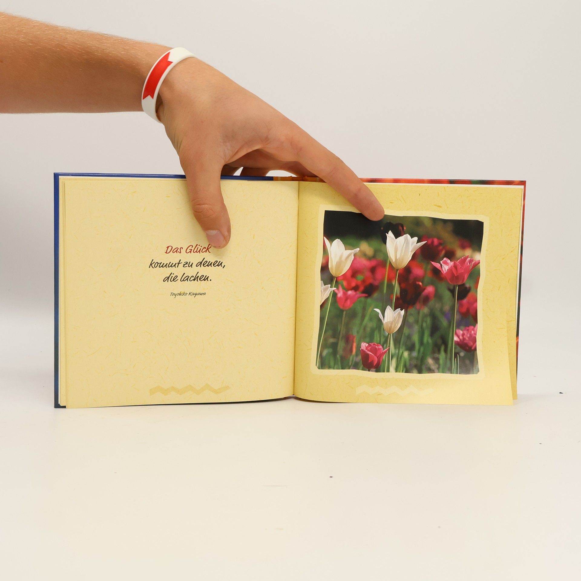 Anja Sommer Bunte Tulpen für dich