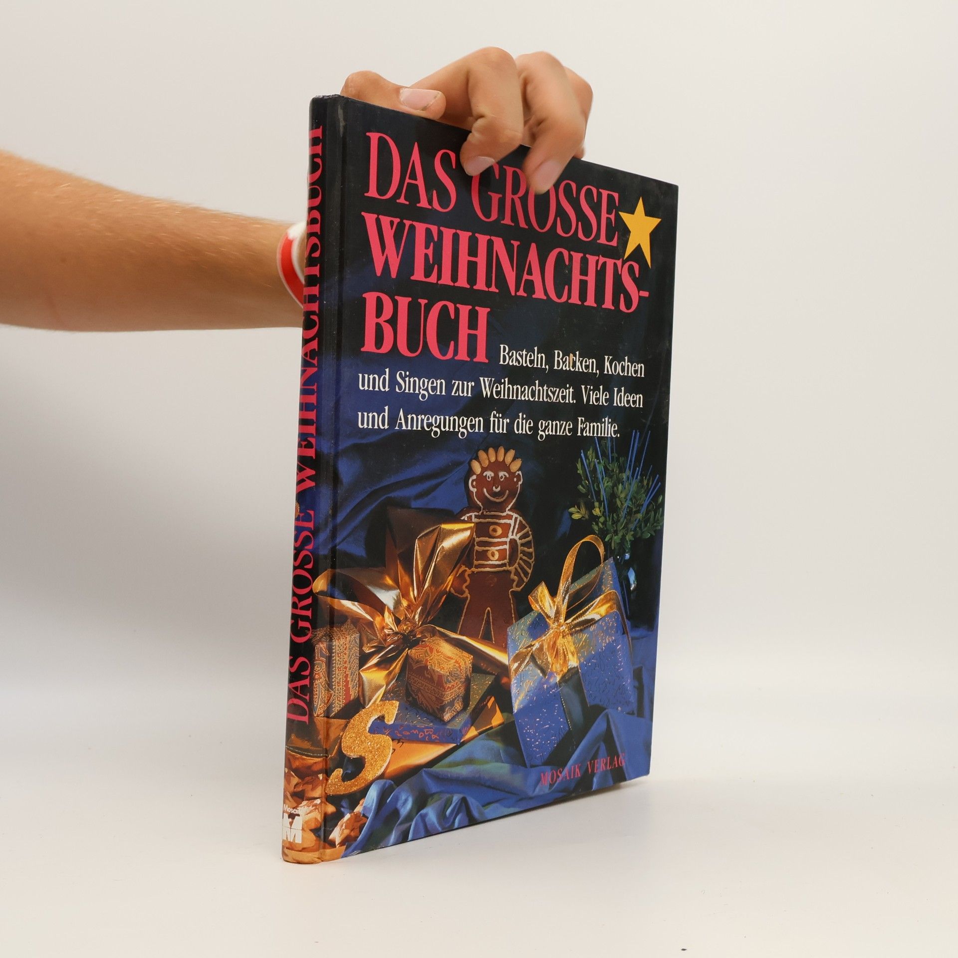Autores varios Das große Weihnachtsbuch