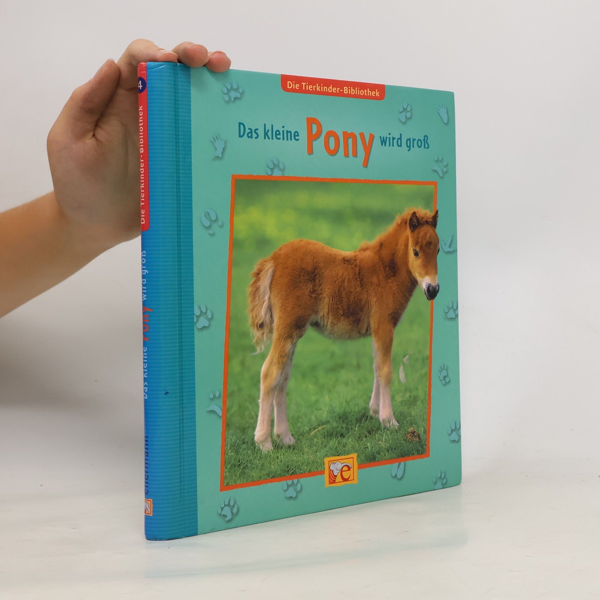 Sandra Grimm Das kleine Pony wird groß