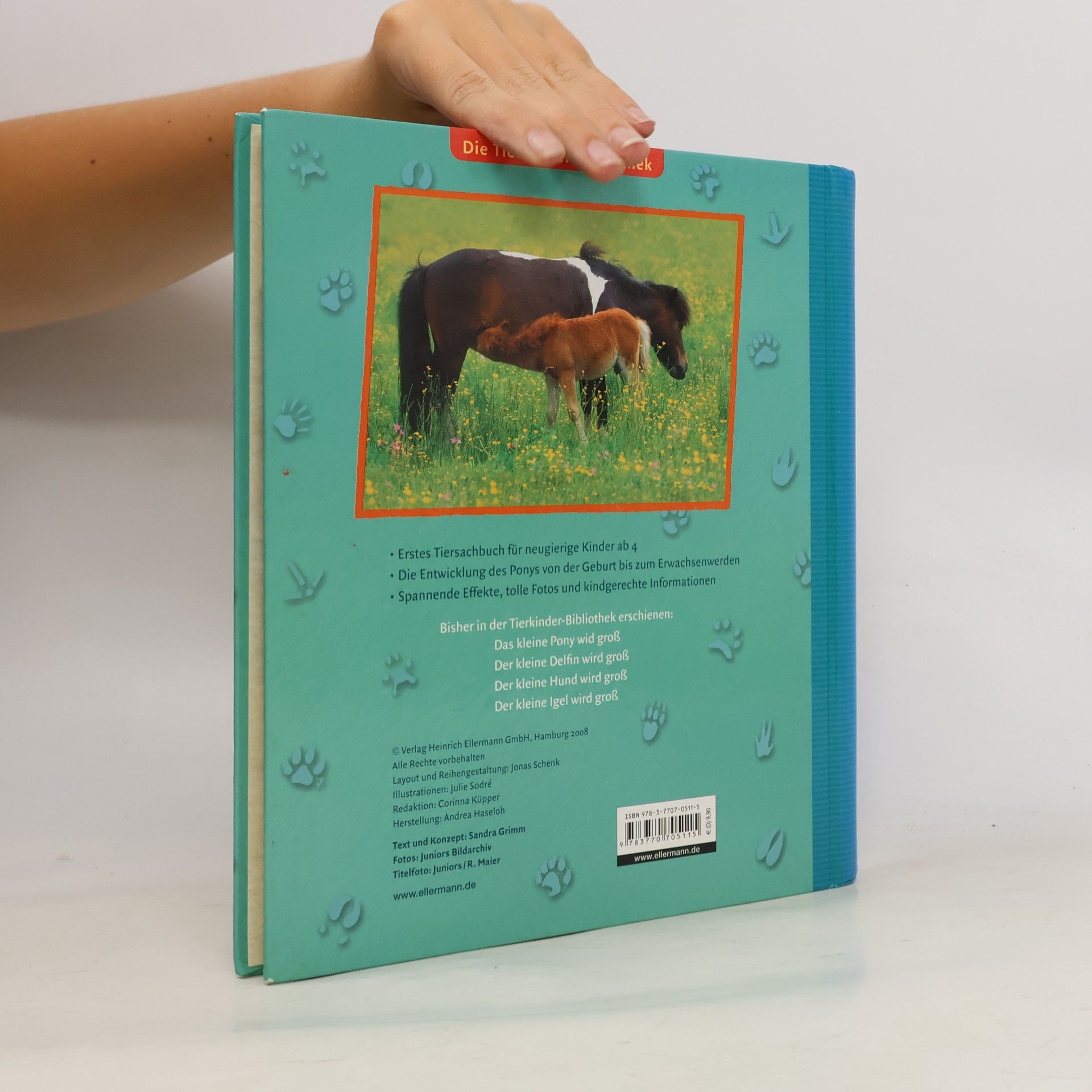 Sandra Grimm Das kleine Pony wird groß