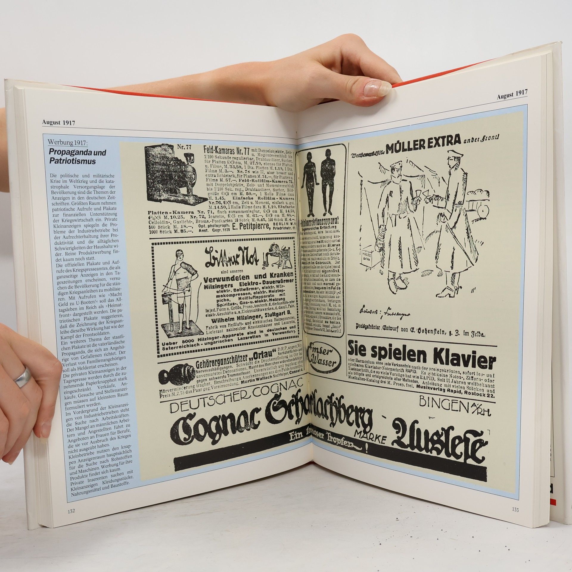 Kolektiv autorů Chronik 1917
