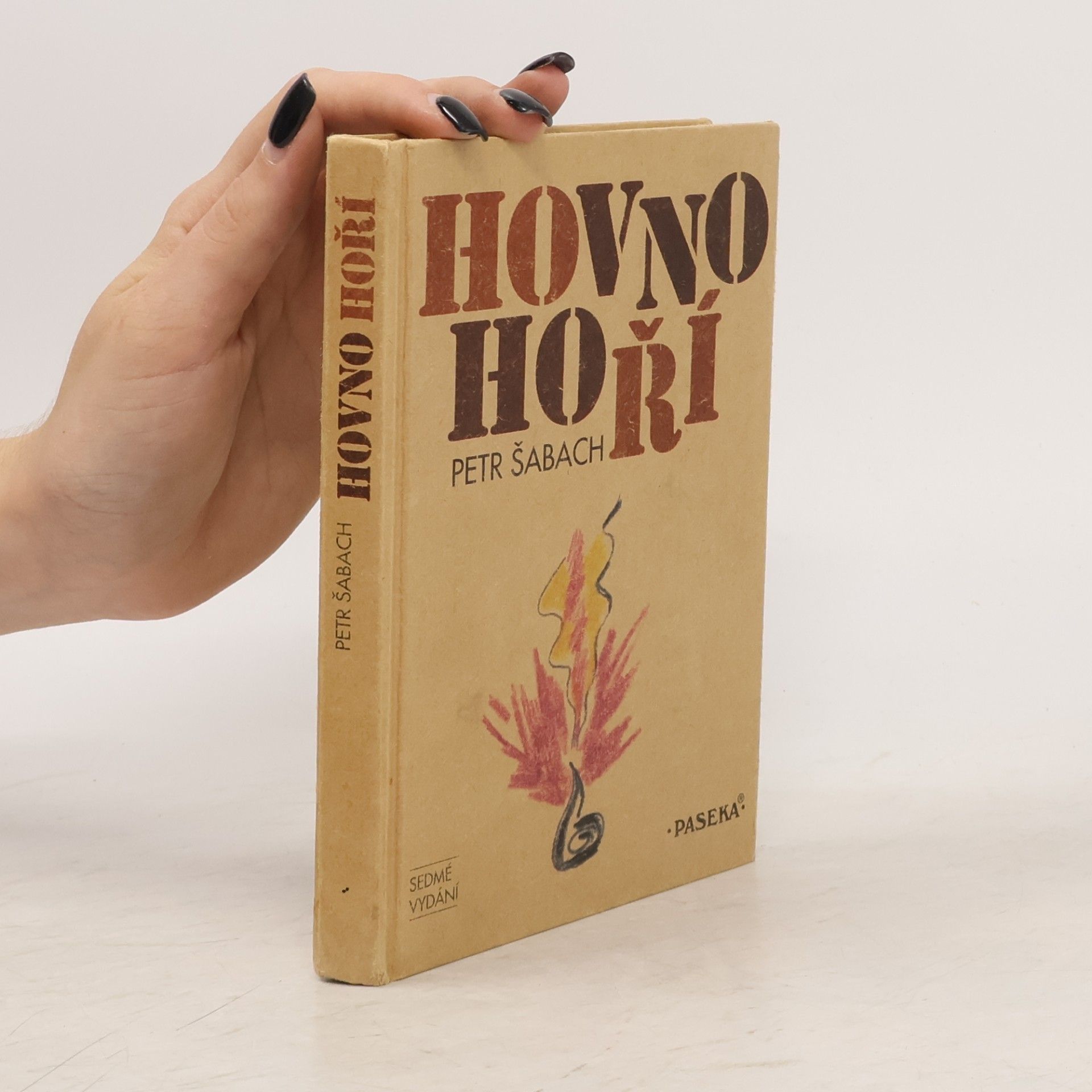 Petr Šabach Hovno hoří